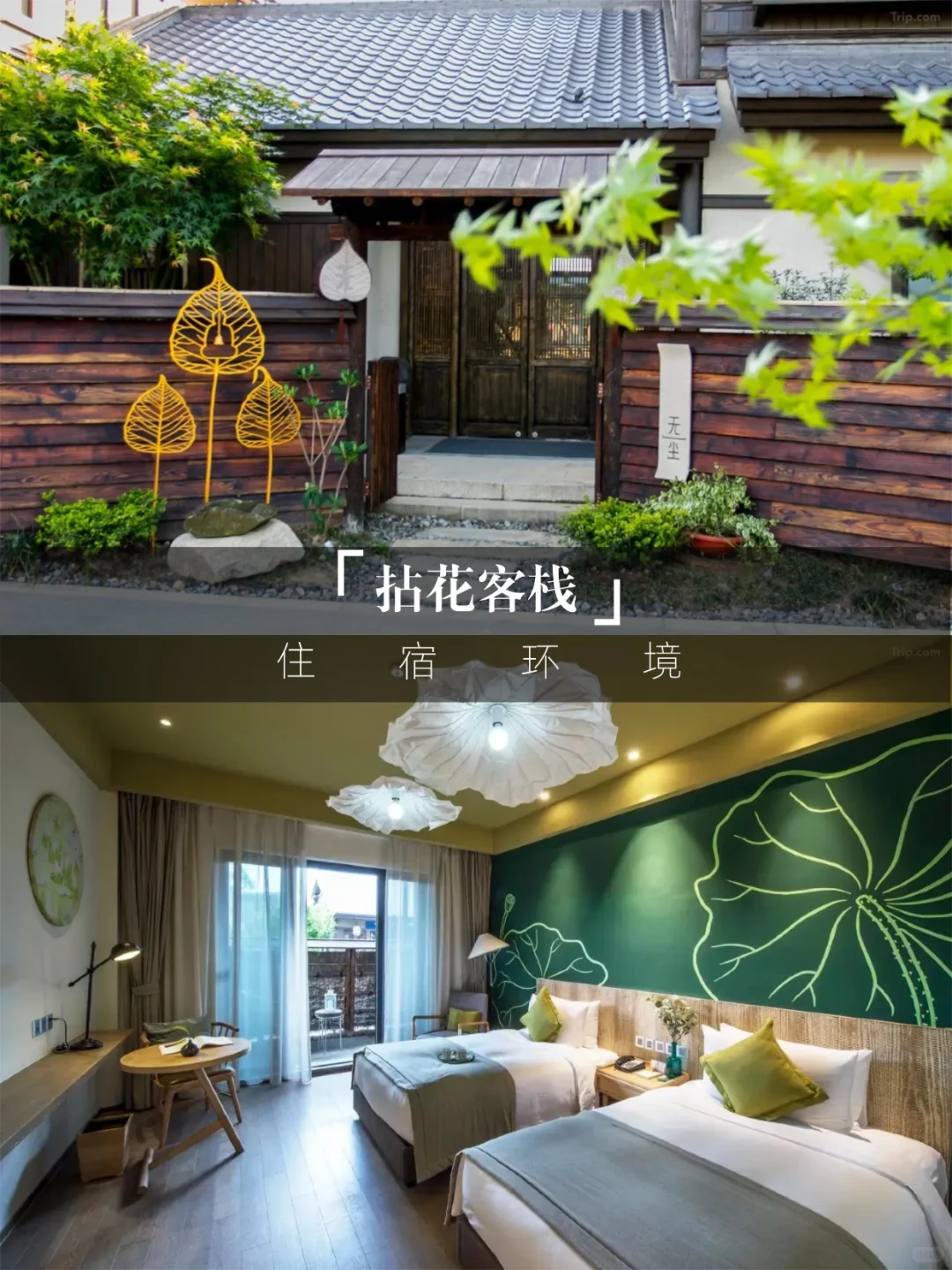 住景区内送拈花湾年卡💥双11诚意拉满