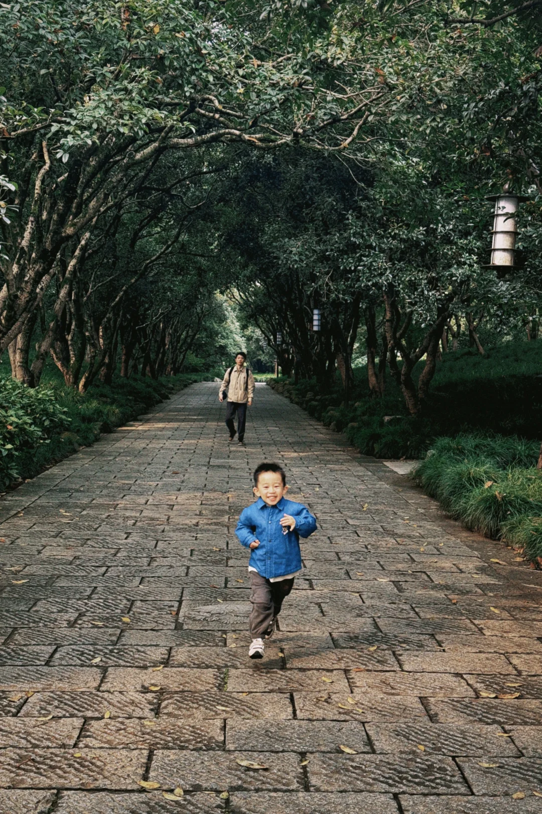 杭州周末景区遛娃｜避开人流赏桂