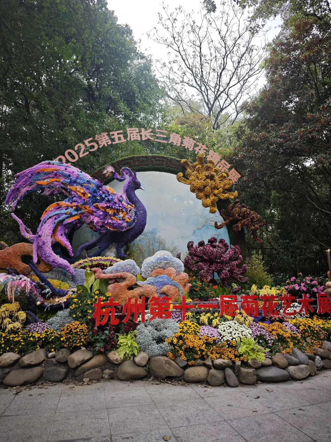 杭州植物园的菊花展，很美，再也不来了