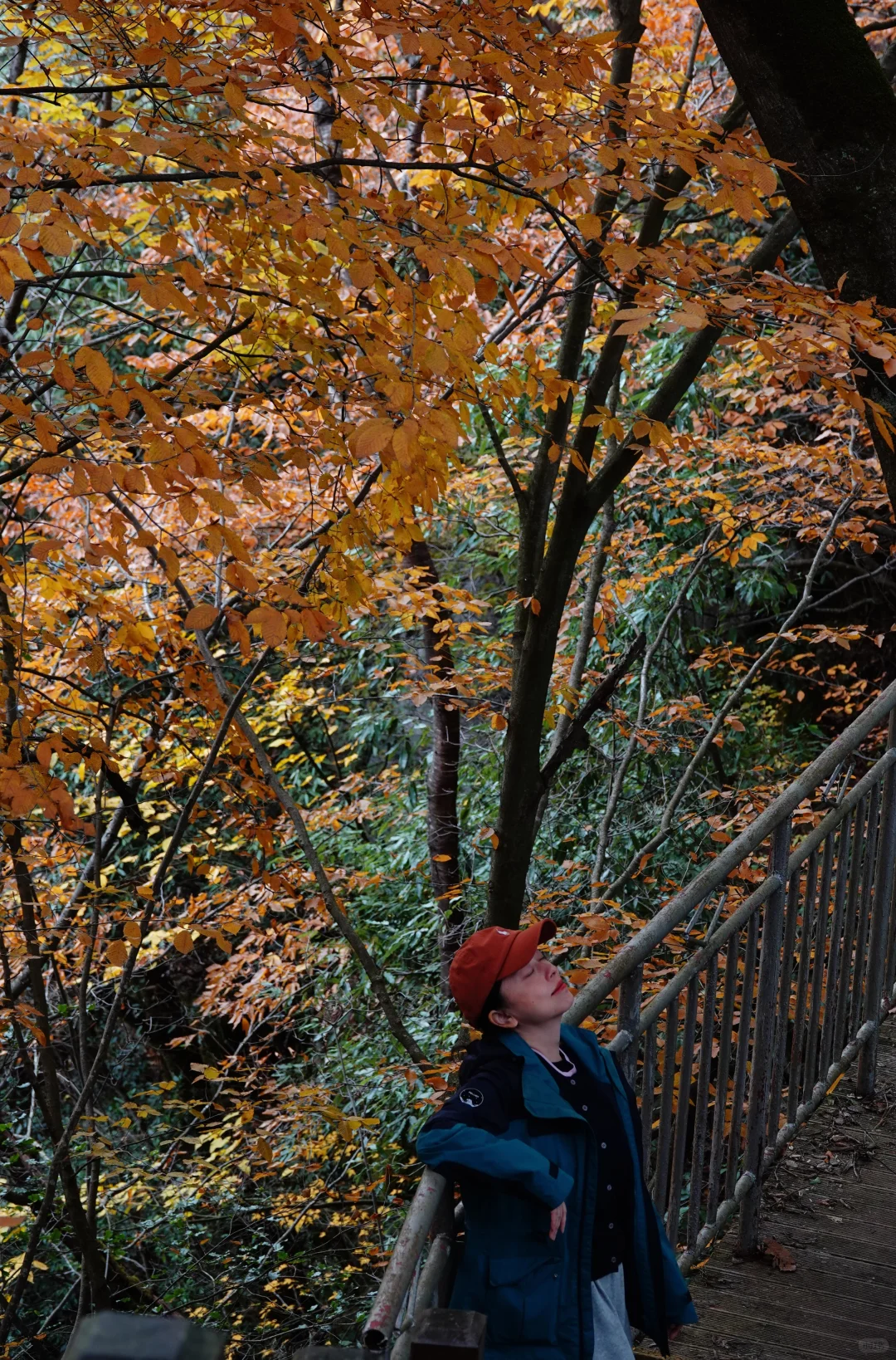 巴中的红叶真的太好拍了！