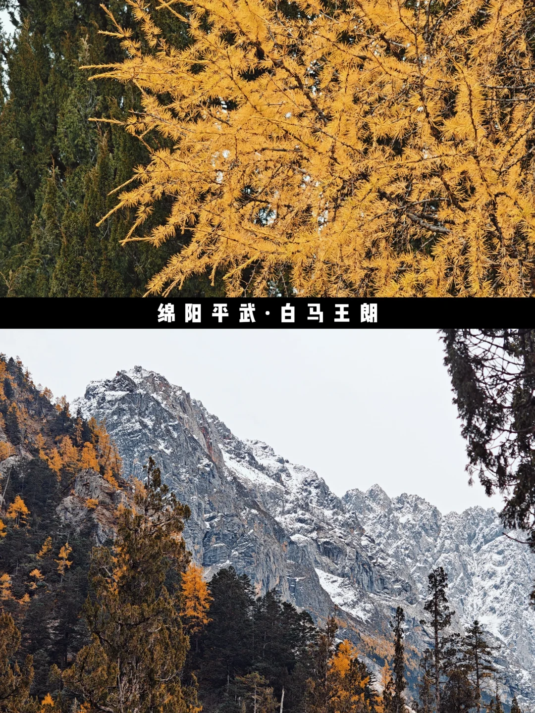 平武·白马王朗＆天母湖