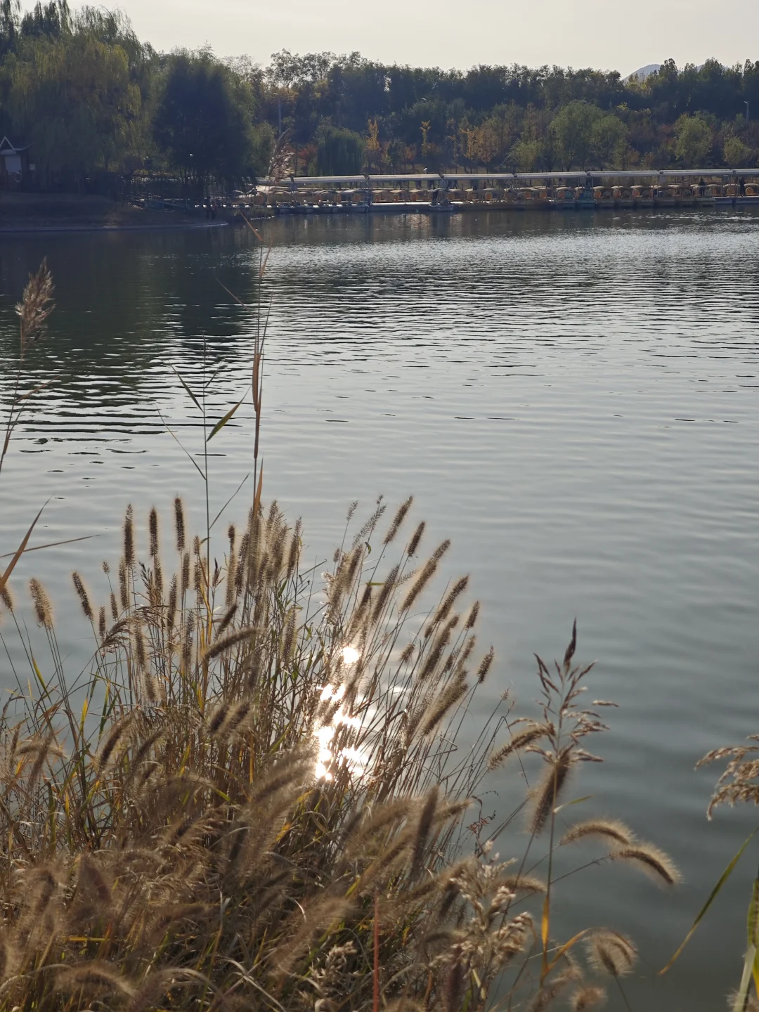 10.26易水湖实拍