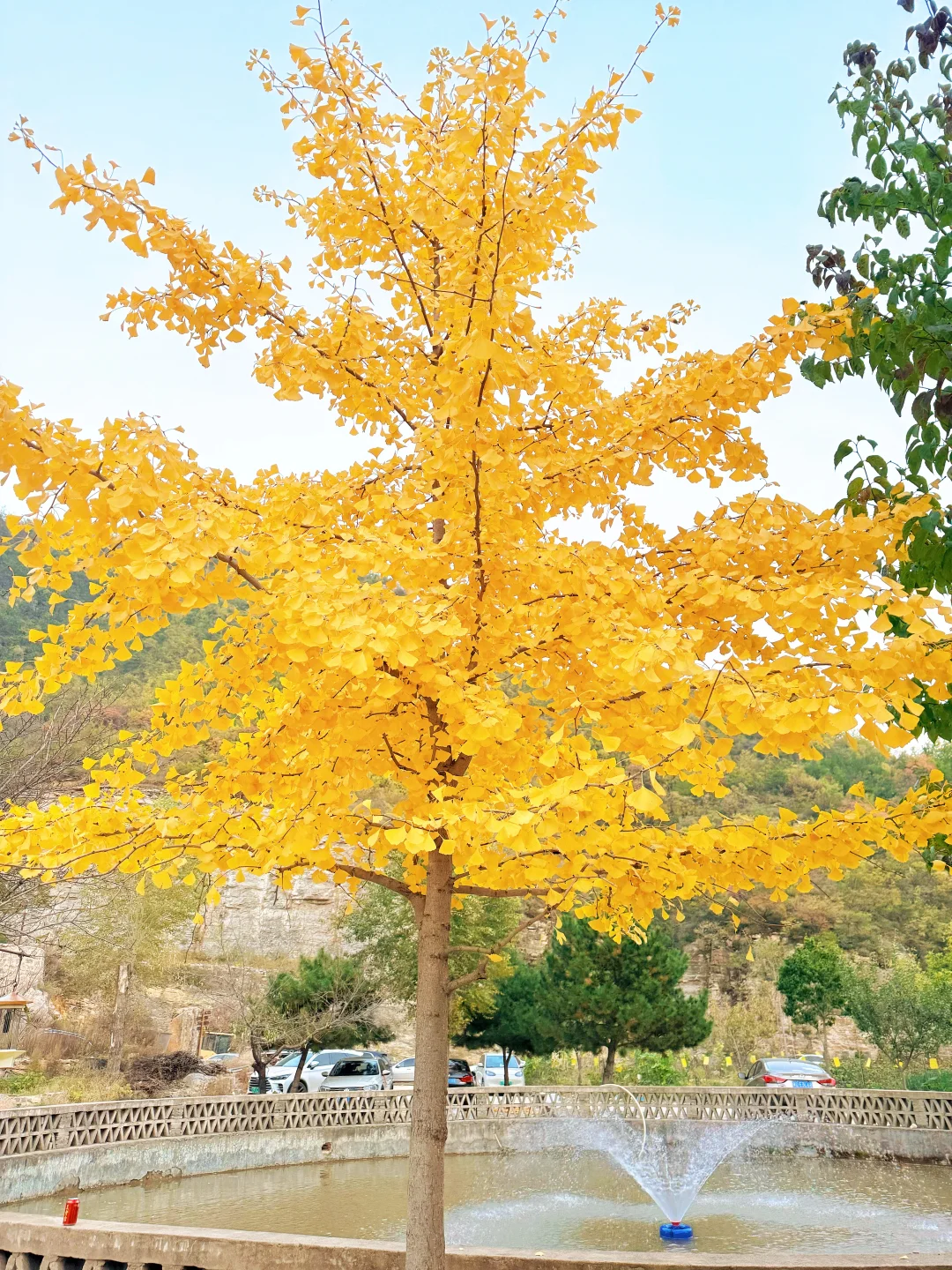 秋天来了，带孩子去爬山看红叶吧