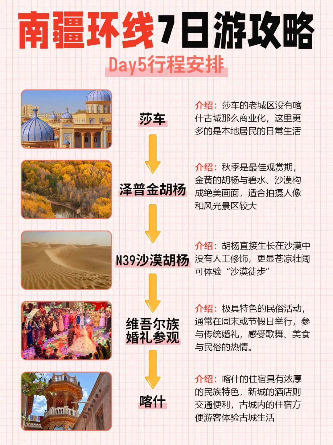 10-11月南疆胡杨林季🍁新疆小团7日游攻略