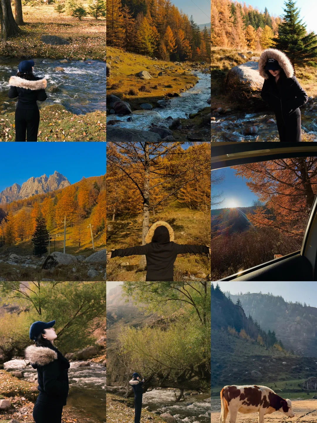 芦芽山🍁｜山西版阿勒泰秋天是最浪漫的季节