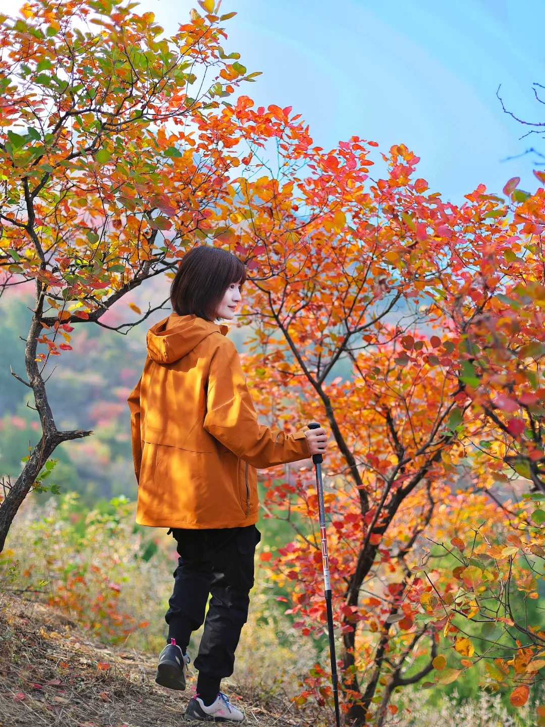 北京30分钟登顶‼️无痛赏红叶🍁公交直达