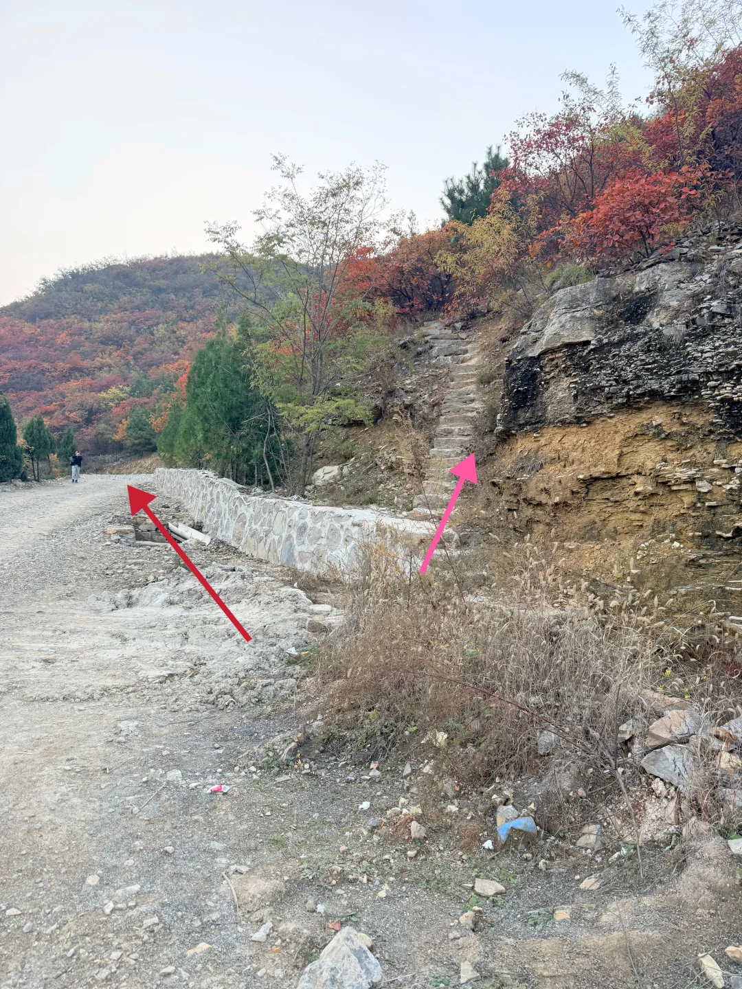 秋天来了，带孩子去爬山看红叶吧