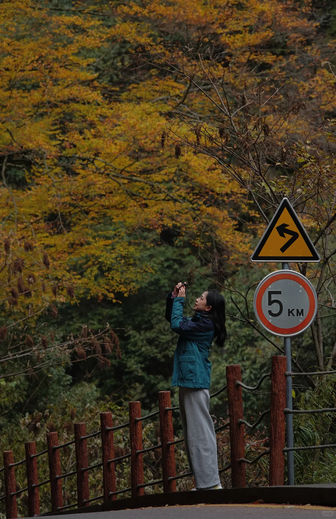 巴中的红叶真的太好拍了！