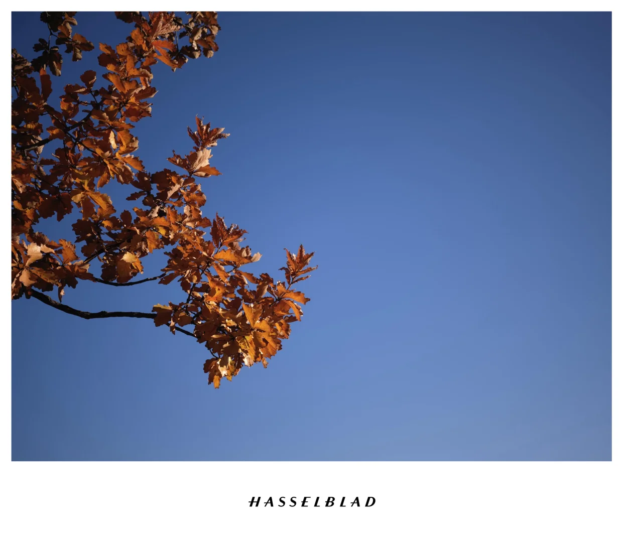 打卡北京十三陵最美的秋天