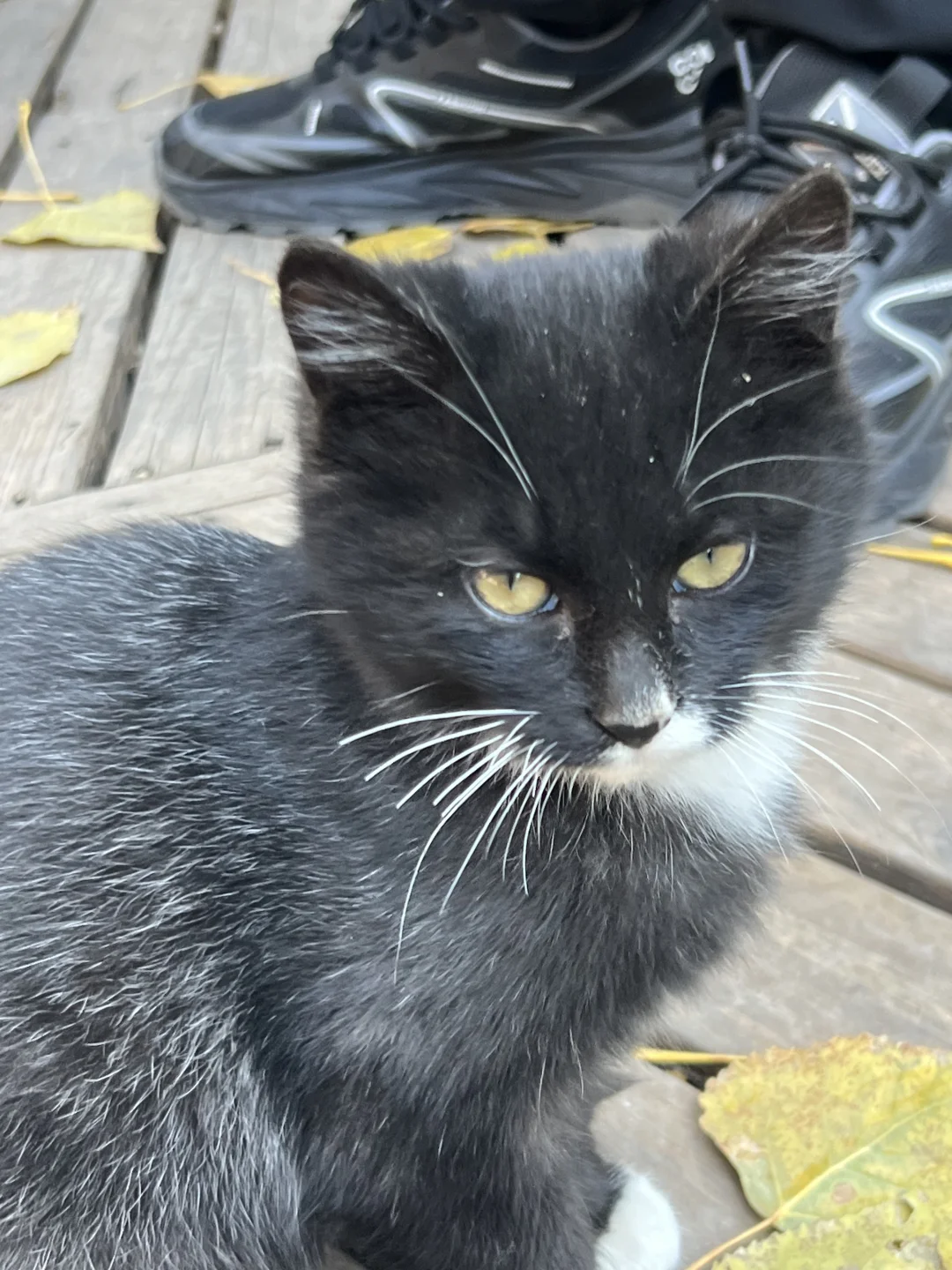 秋日和太原晋祠不要太搭❤️