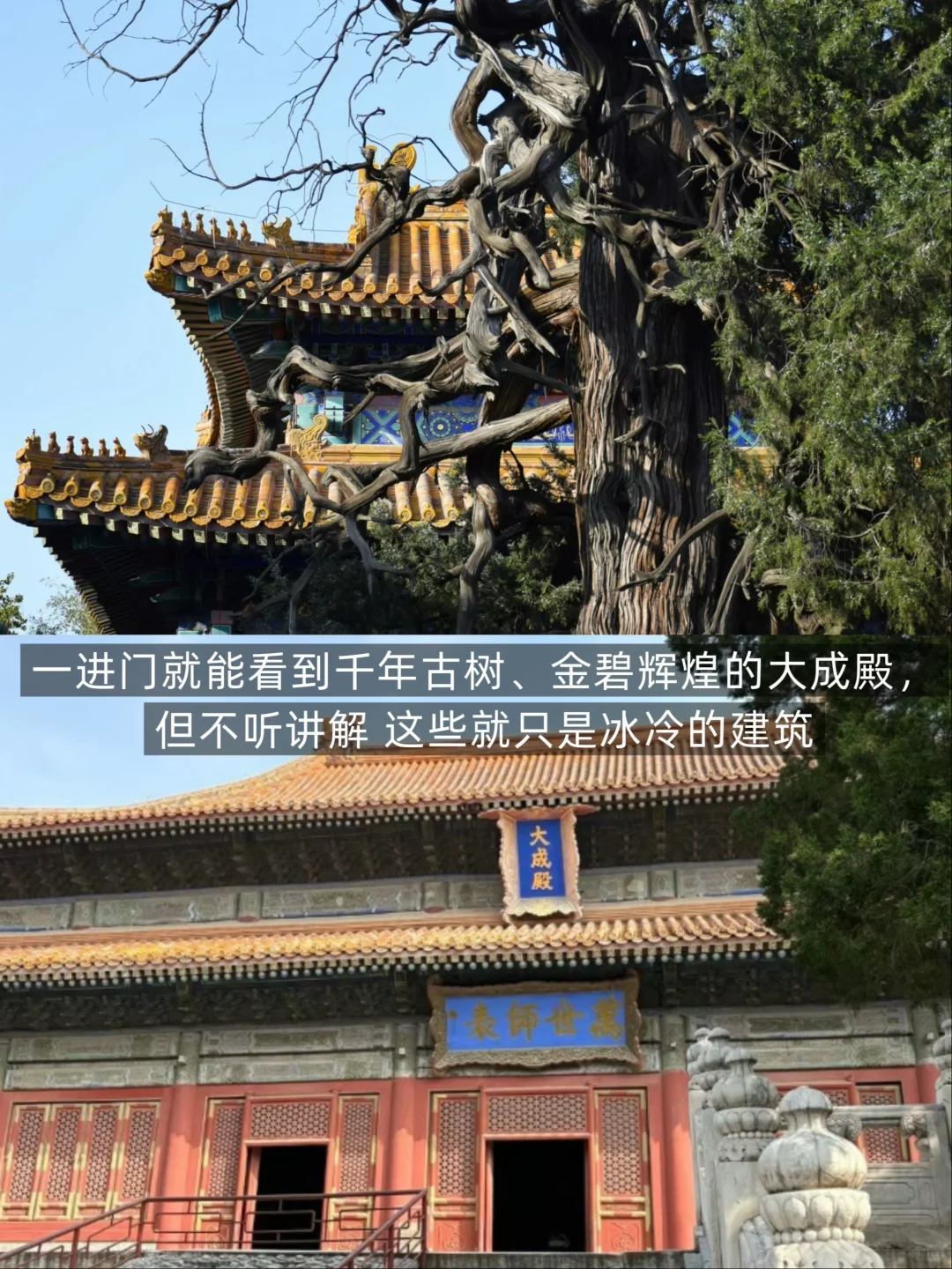 孔府孔庙游玩保姆级攻略‼️门票没白买👍