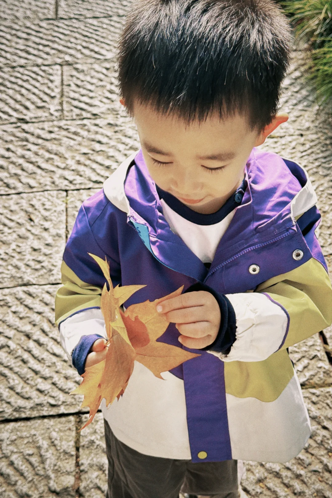 杭州周末景区遛娃｜避开人流赏桂