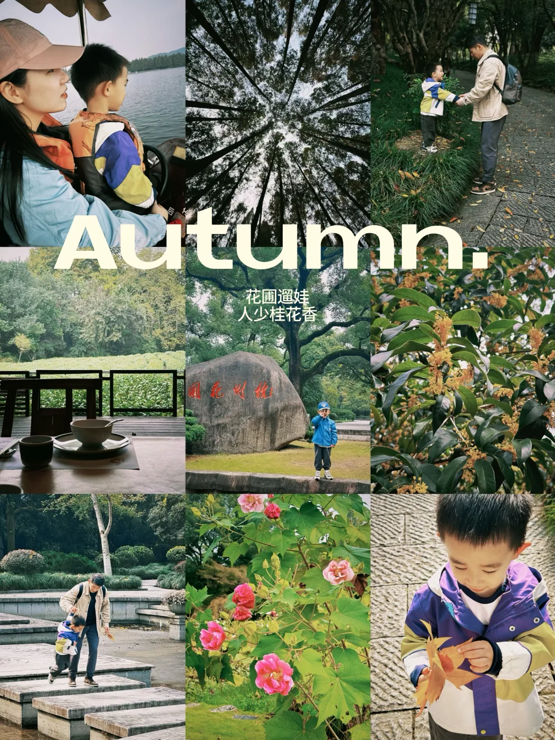 杭州周末景区遛娃｜避开人流赏桂