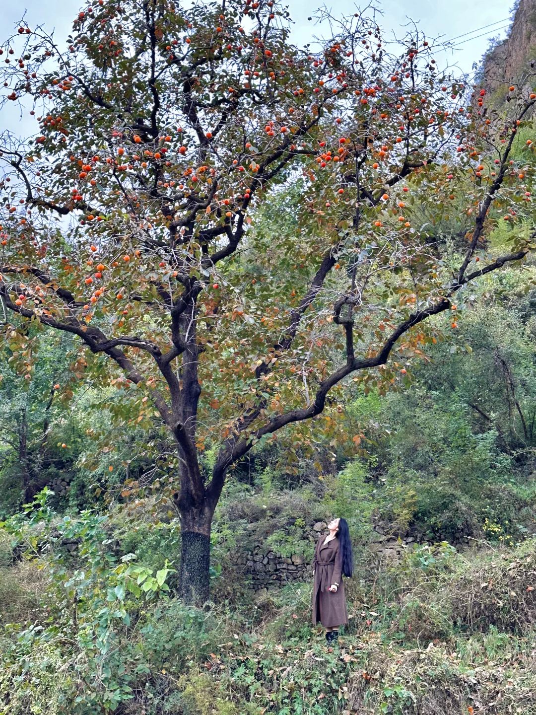 石家庄1️⃣日小众赏秋🍂路线，去山野⛰️看自然