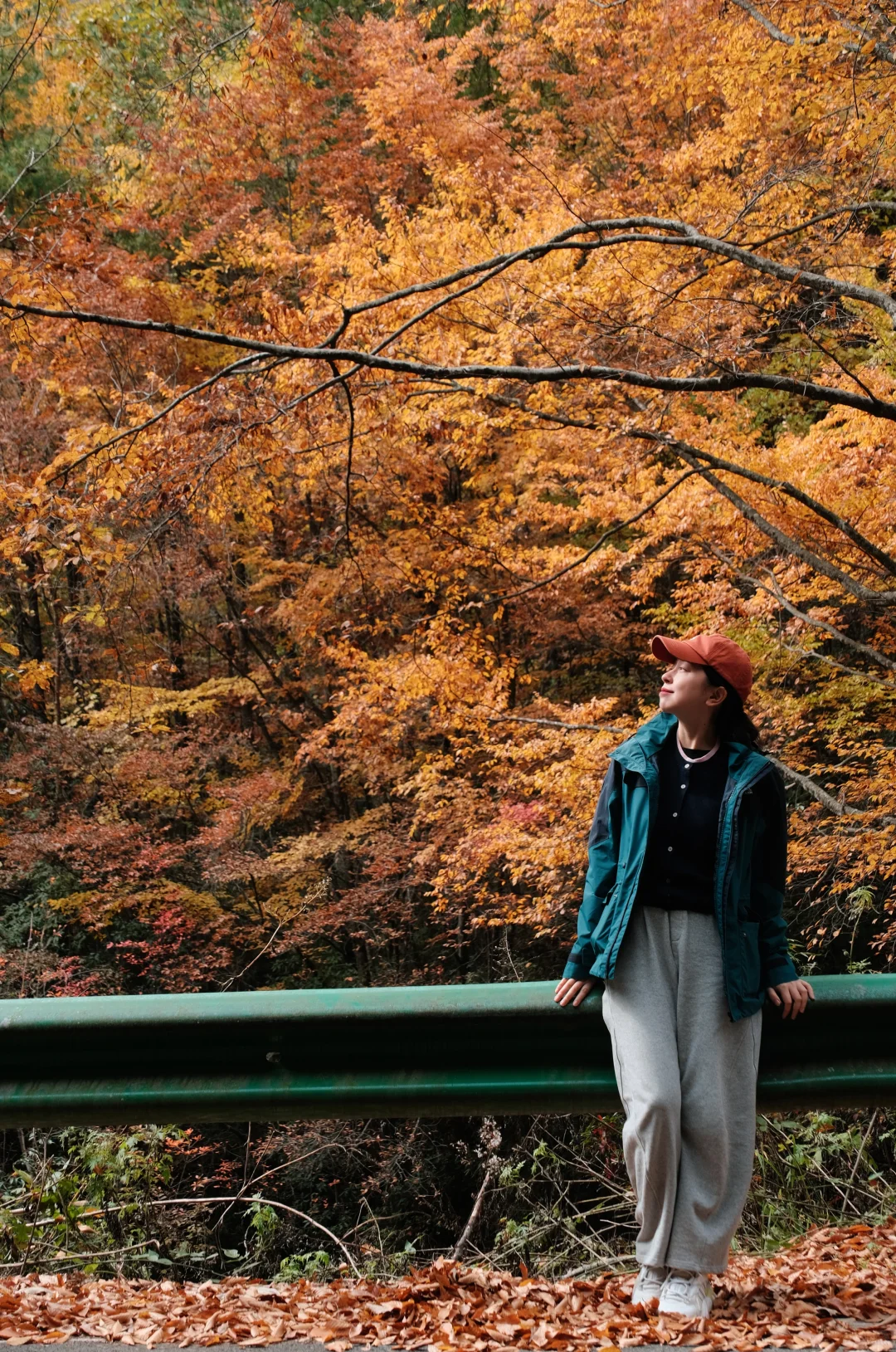 巴中的红叶真的太好拍了！