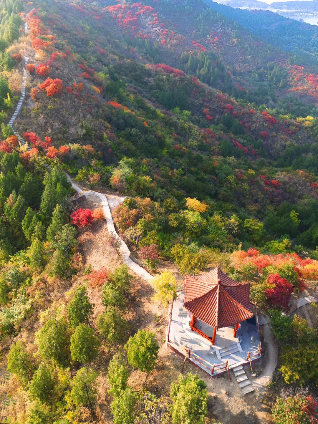北京30分钟登顶‼️无痛赏红叶🍁公交直达