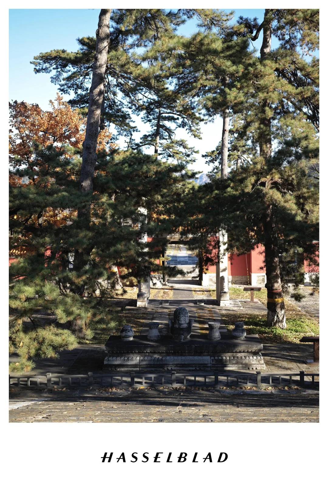 打卡北京十三陵最美的秋天