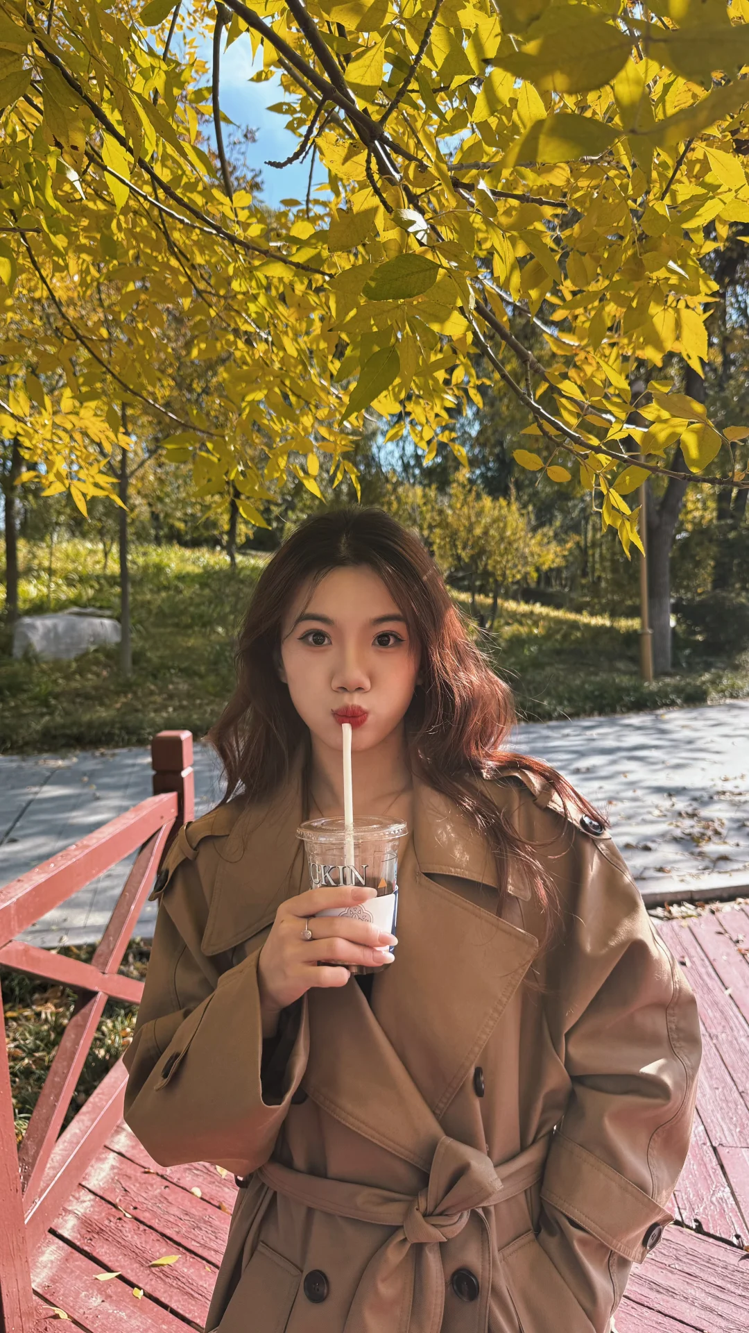 抓住枫叶🍁的尾巴|潍坊浞河公园