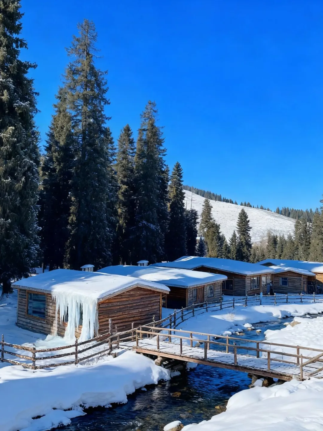 3K带你闯入冬日童话世界❄️伊犁雪国梦境