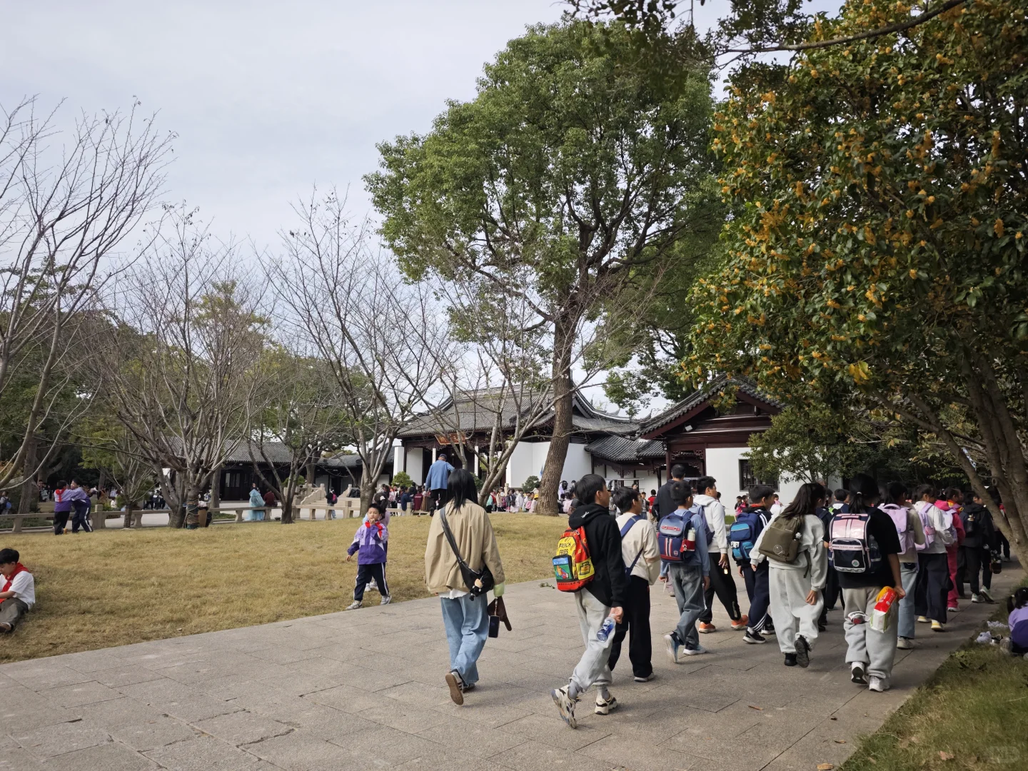 虎丘/小学生秋游?