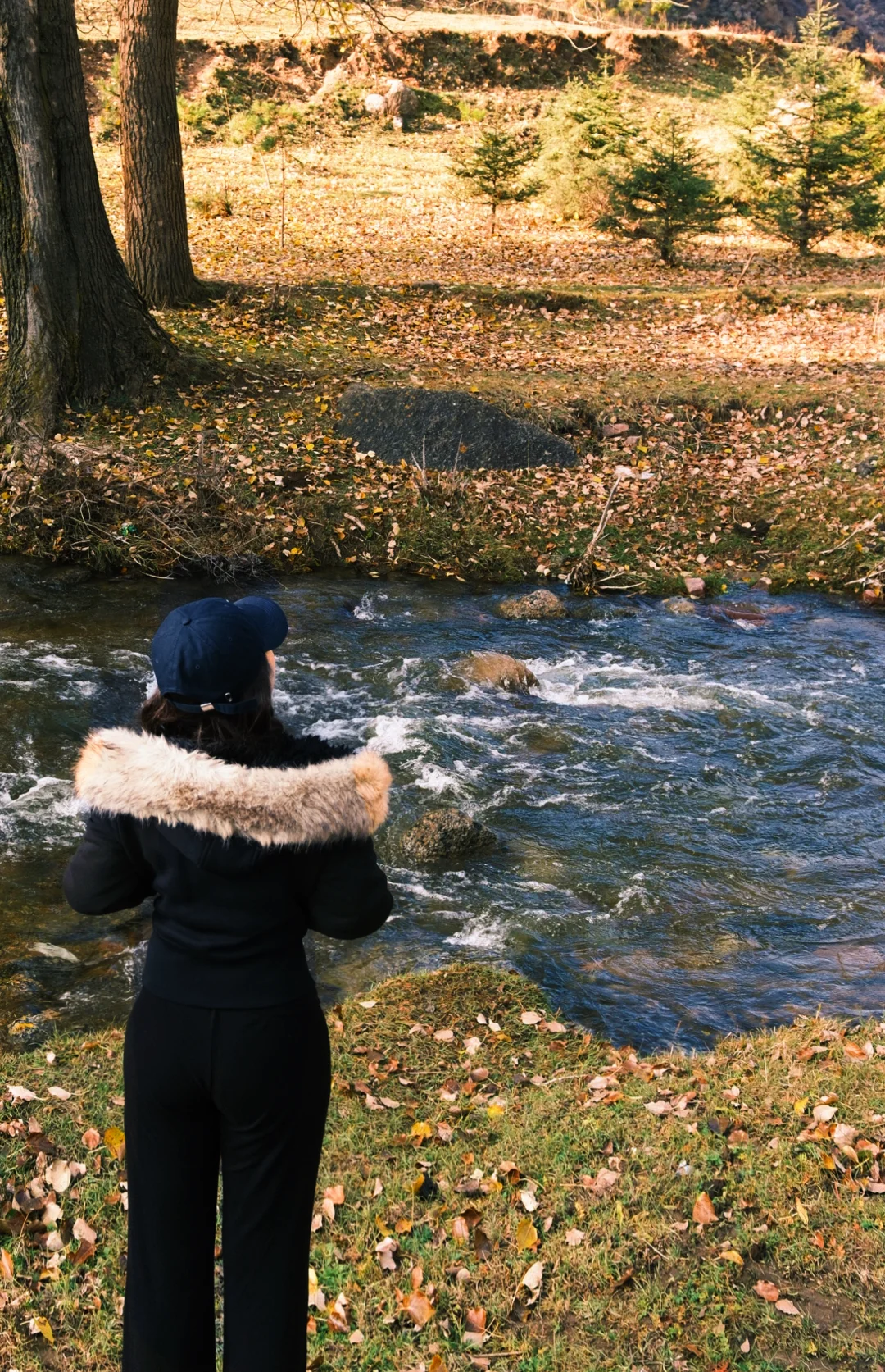 芦芽山🍁｜山西版阿勒泰秋天是最浪漫的季节