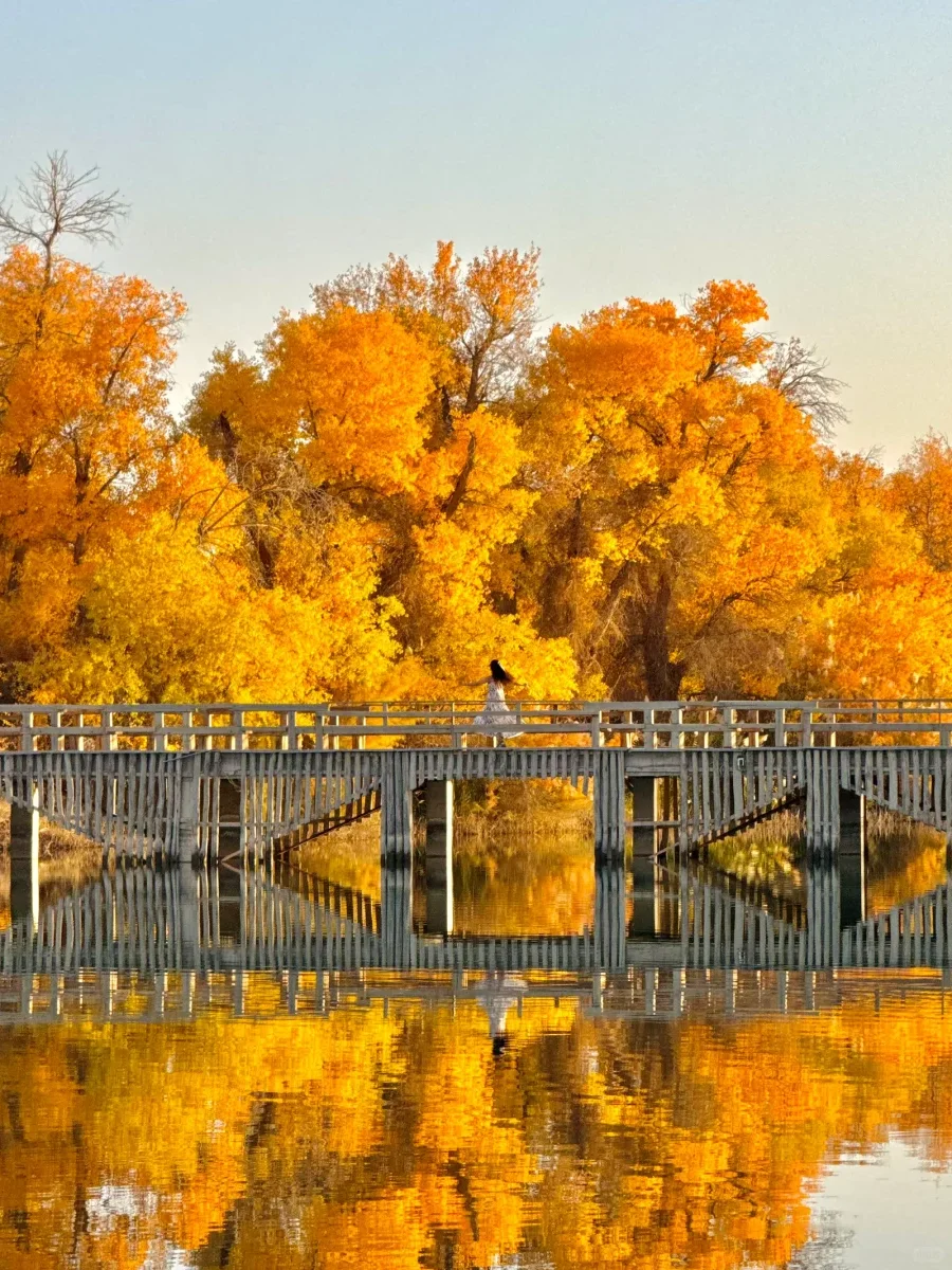 10月来南疆看胡杨林 做好攻略不踩坑🍁