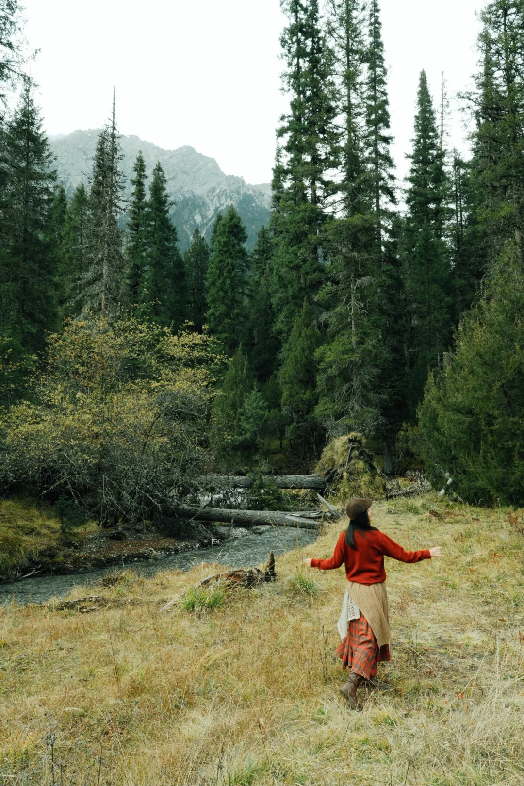 平武·白马王朗＆天母湖