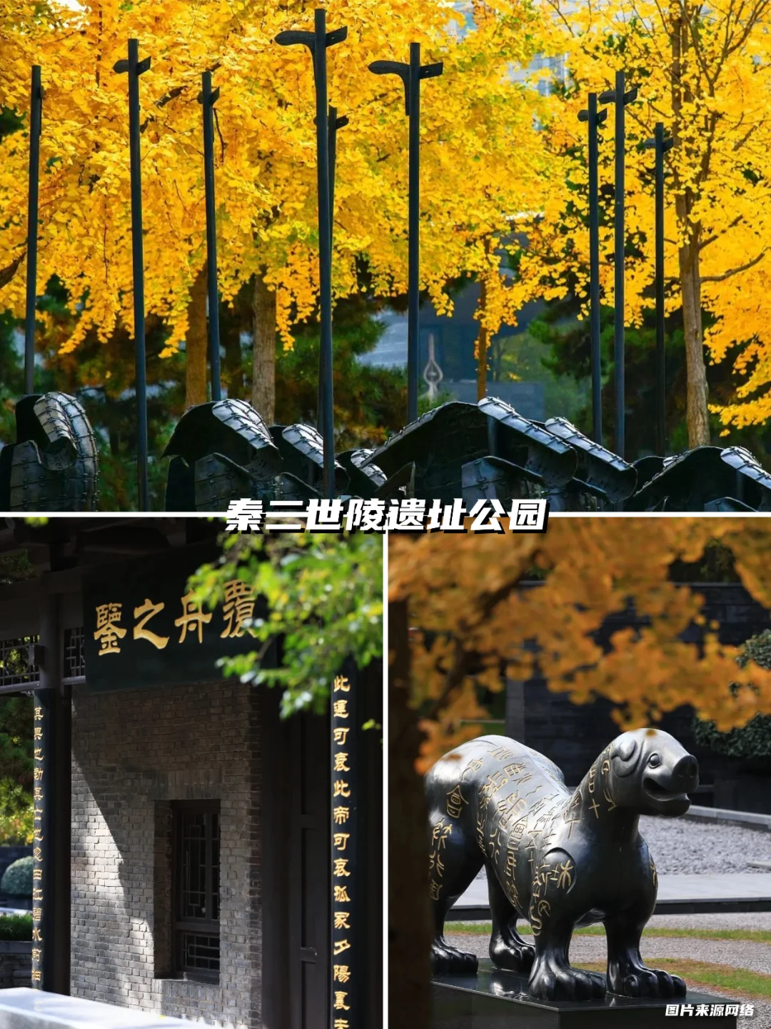 西安银杏天花板!这5️⃣个地方美到封神!