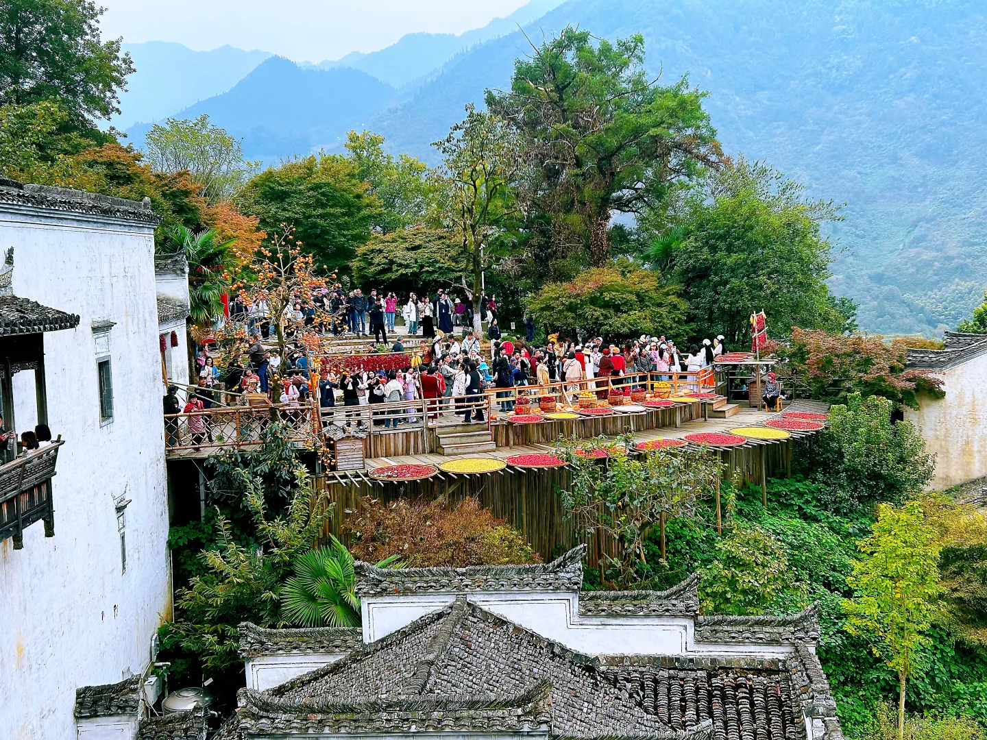 婺源-晒秋
