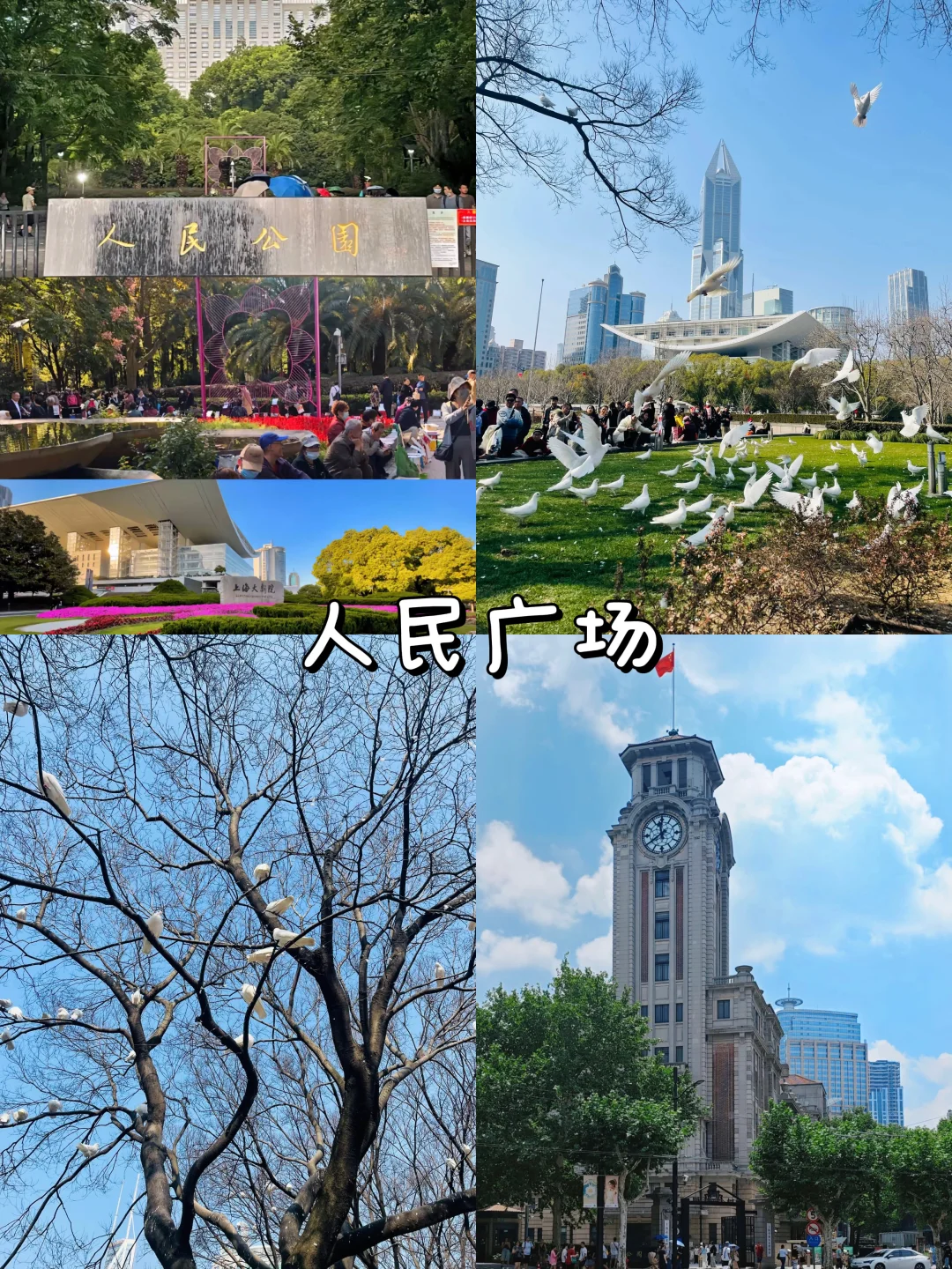 📍上海两天一晚 | 保姆级攻略 | 人均六百💰