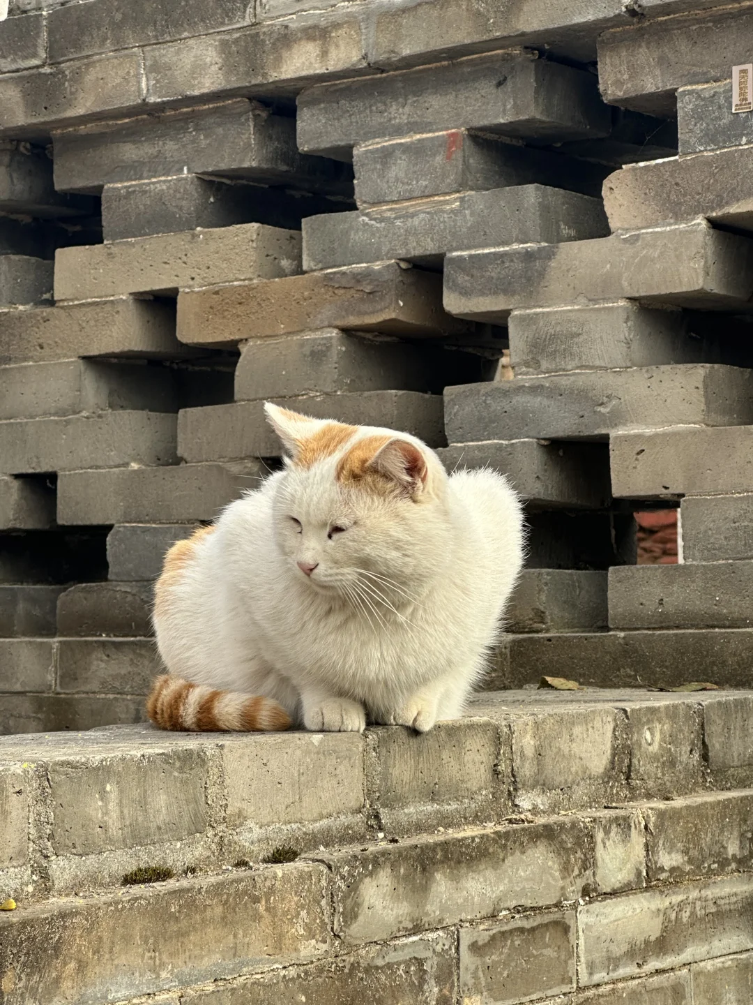 五台山攻略（必看版）｜两天一夜