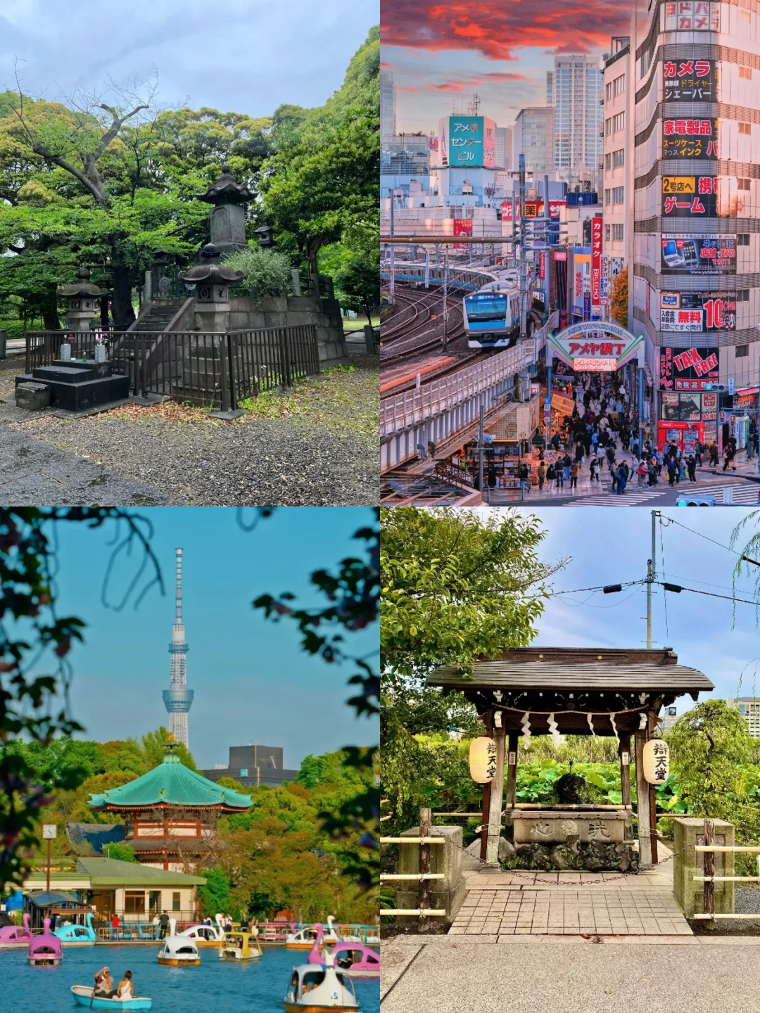 一个人玩东京也不怕！包车带你轻松玩遍东京