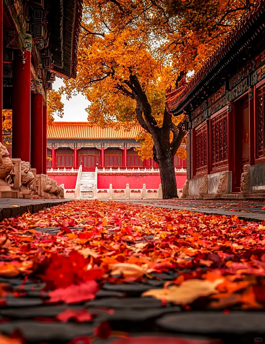 每天打卡一个旅游景点