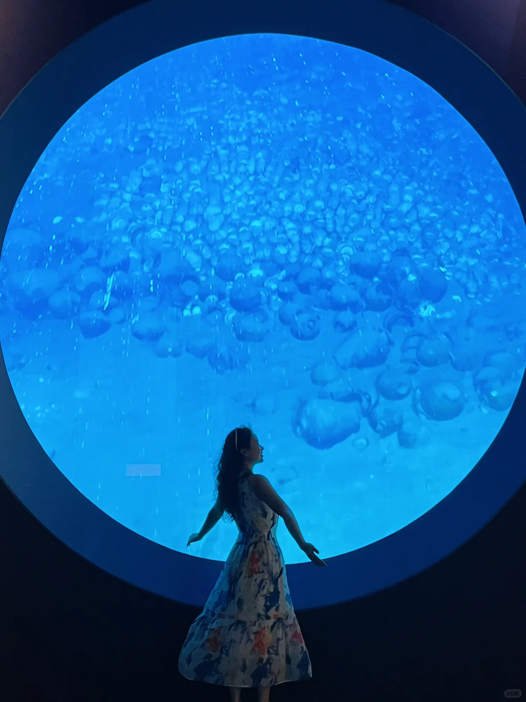 海南不应该被忽视的景点🌊南海博物馆