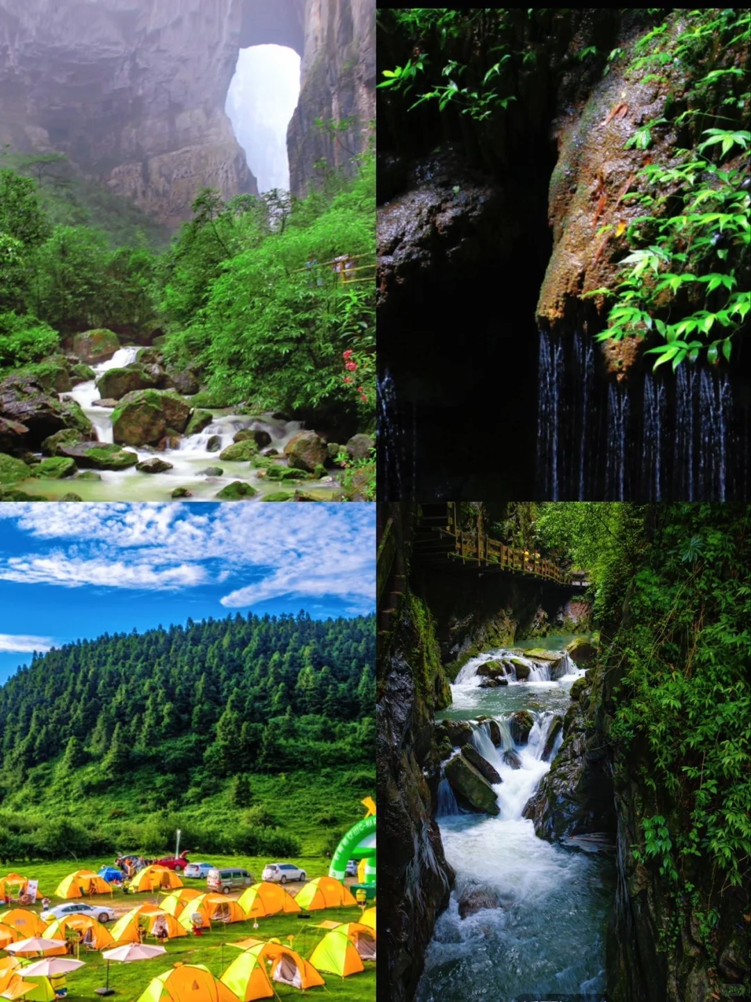 重庆秋天冲武隆！2天玩疯了