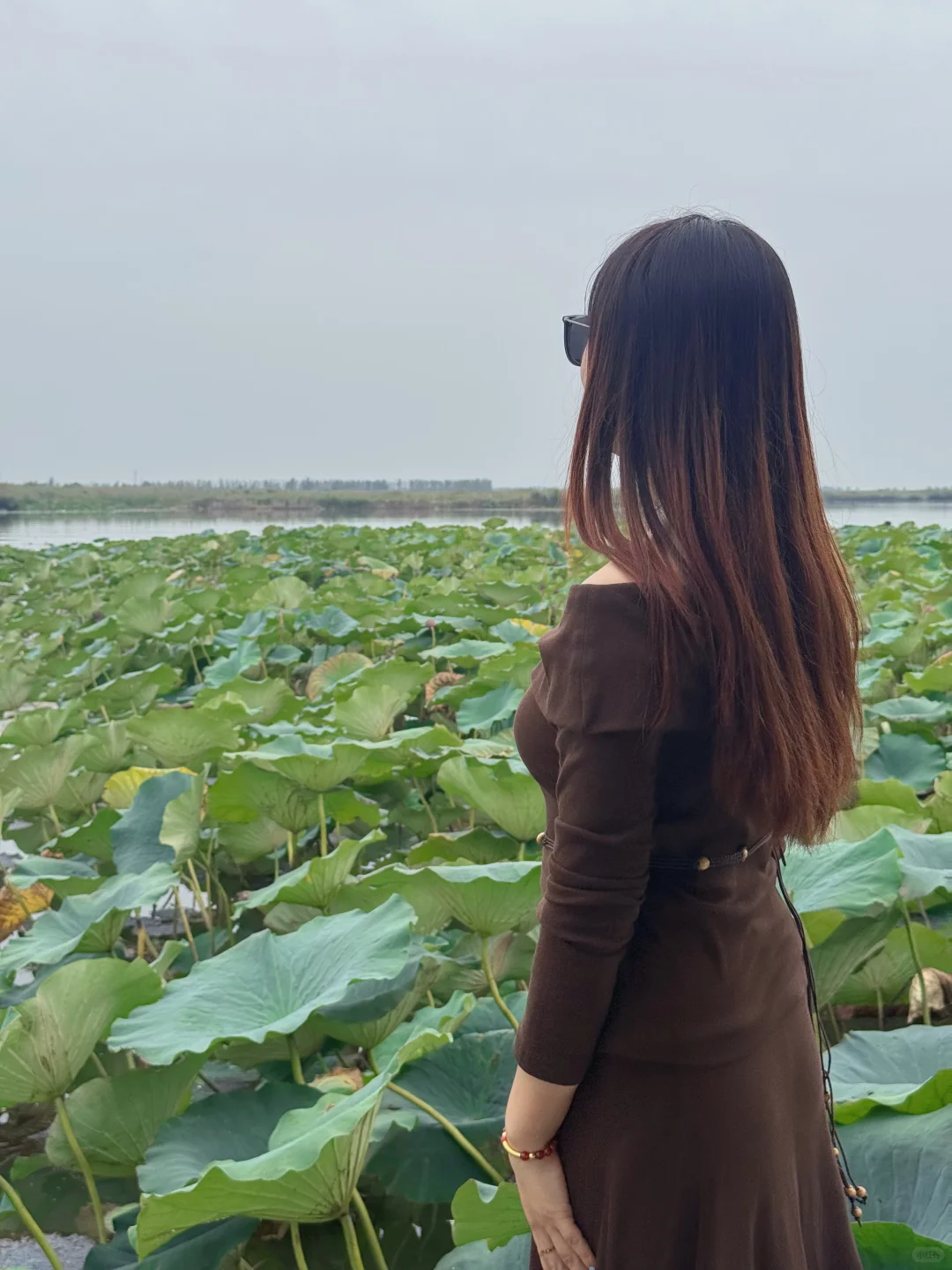 去白洋淀划船吧，风一吹，连烦恼都散了！