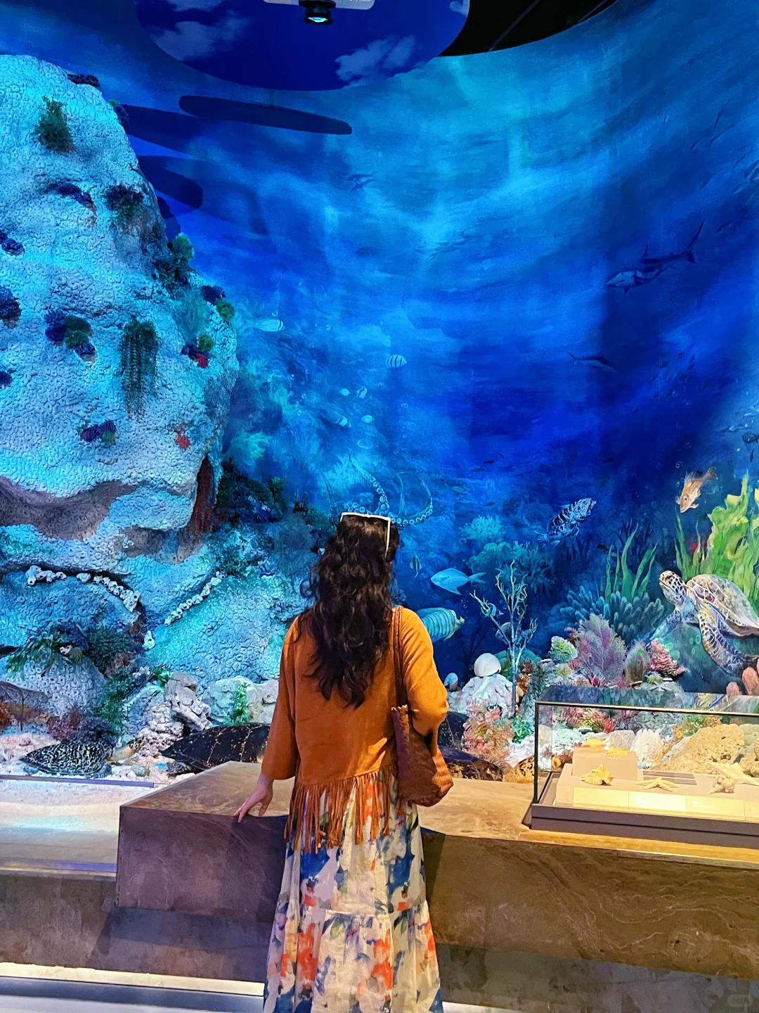 海南不应该被忽视的景点🌊南海博物馆