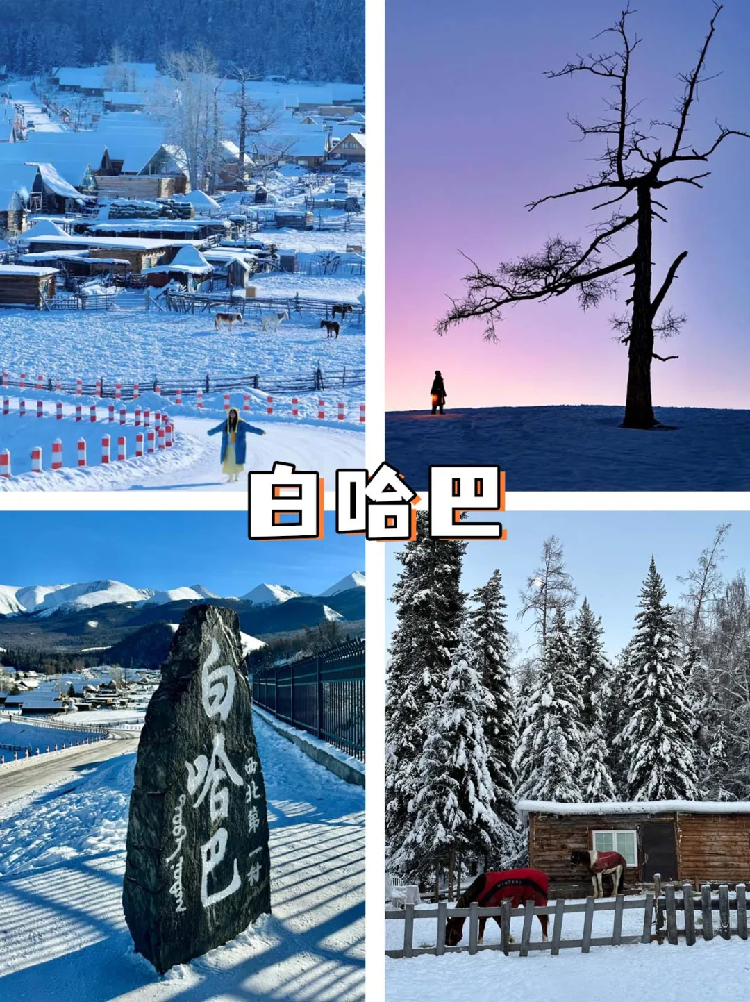 都在问❓冬天的阿勒泰不这样玩就亏了😭