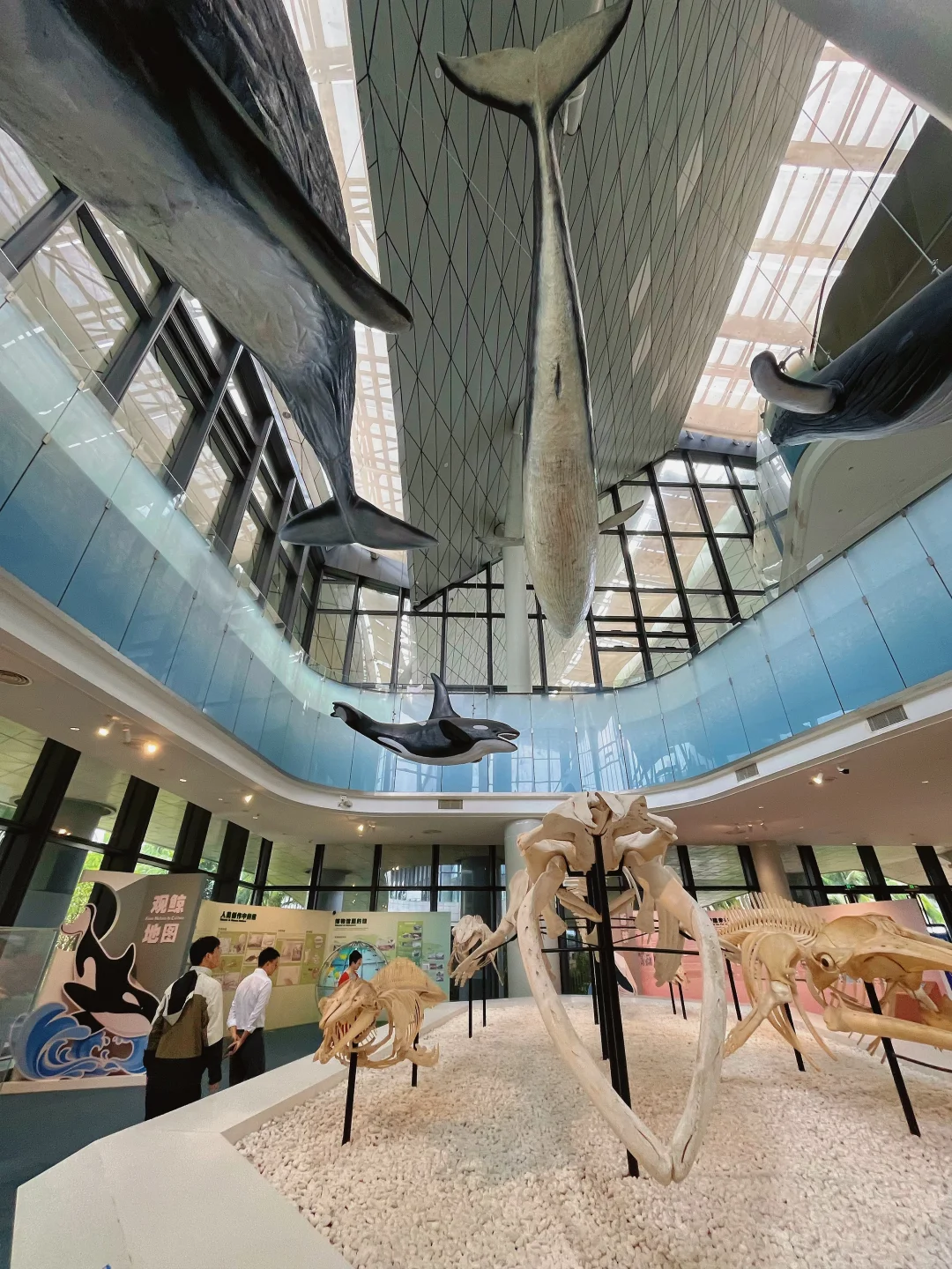 海南不应该被忽视的景点🌊南海博物馆