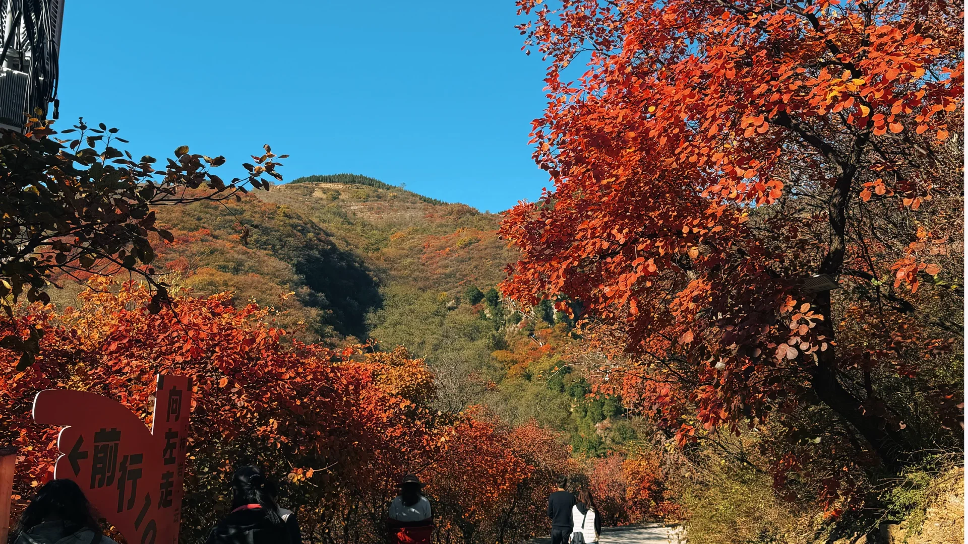 看这里❗花一天时间玩遍红叶柿岩所有景点😏