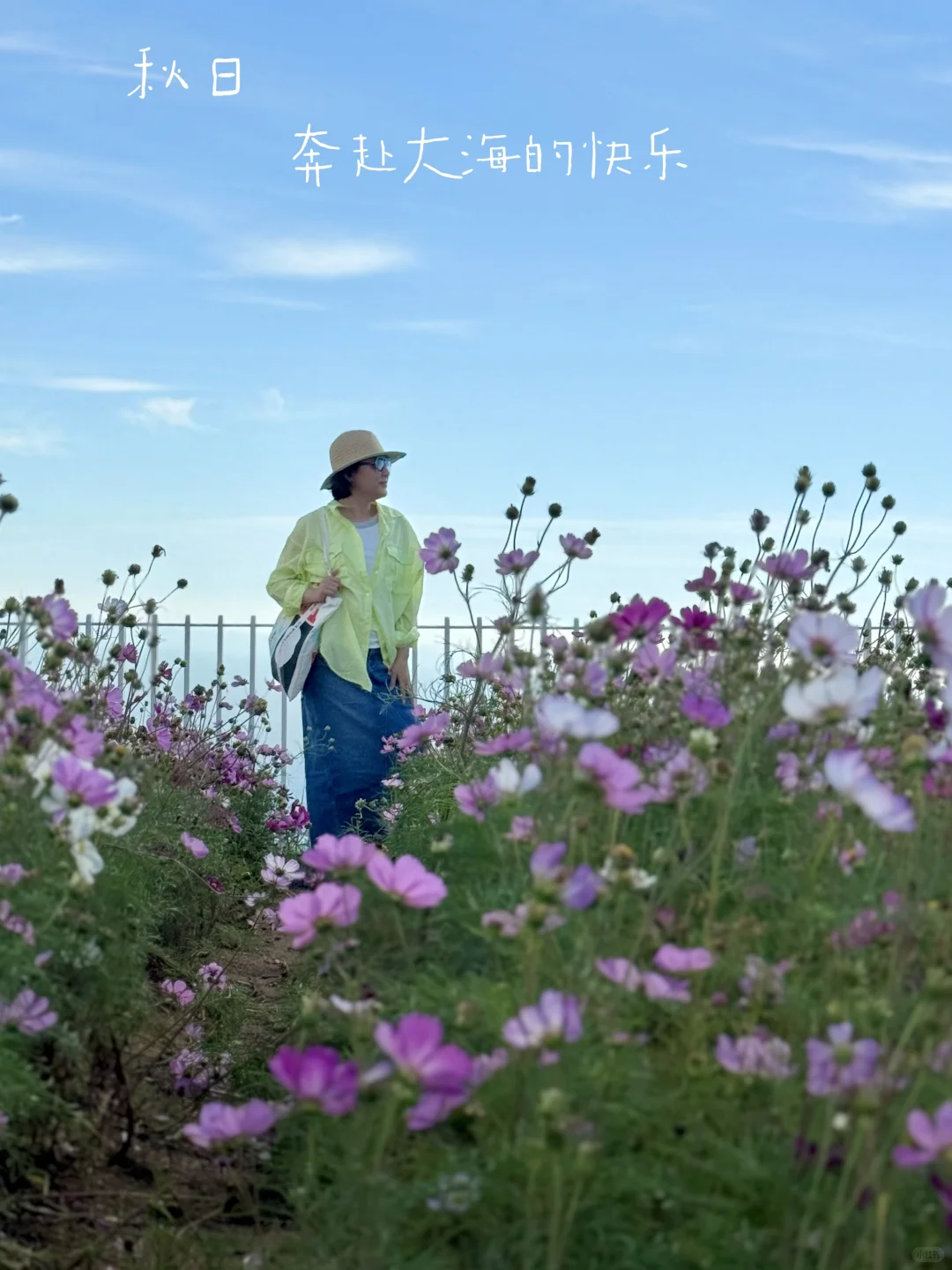 苍南168黄金海岸线必打卡景点