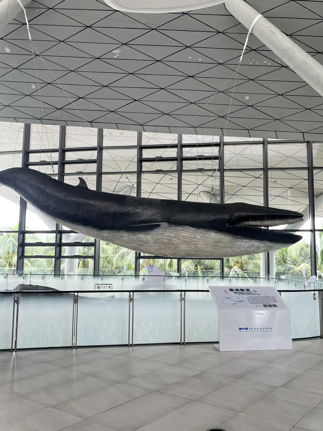 海南不应该被忽视的景点🌊南海博物馆