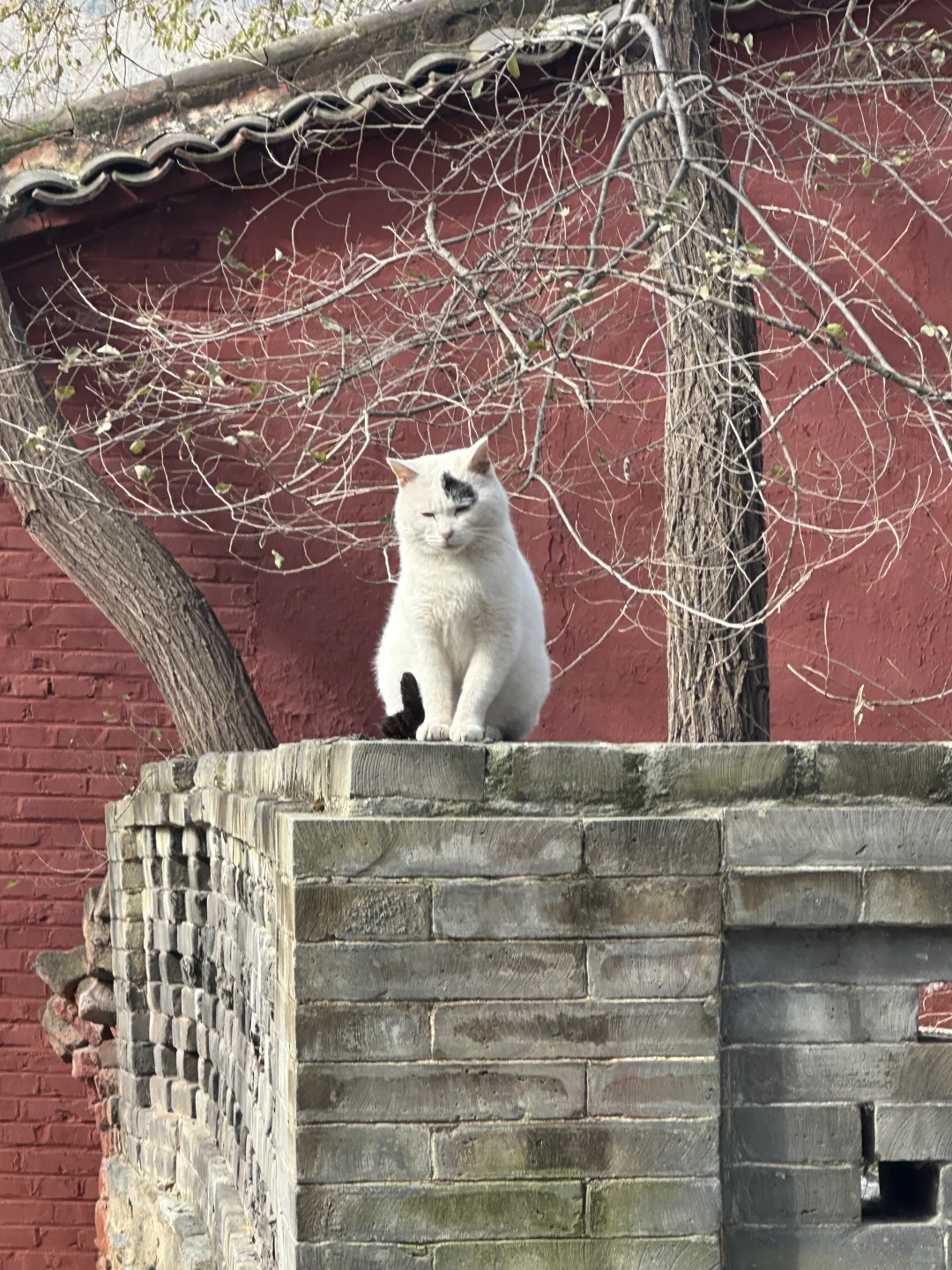 五台山攻略（必看版）｜两天一夜