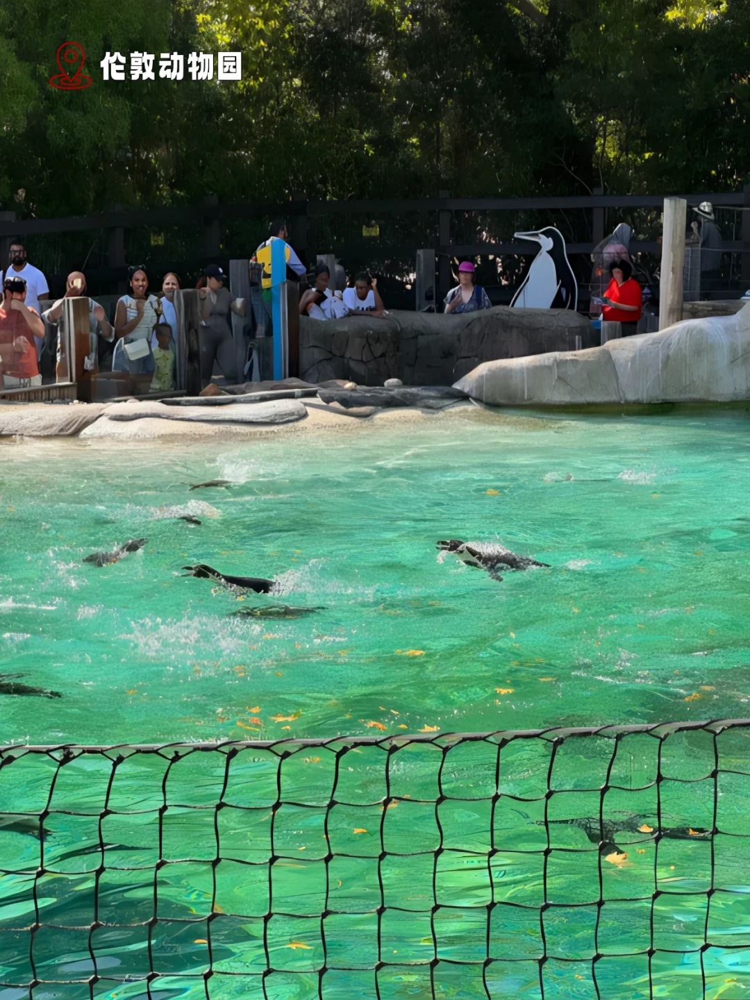 伦敦溜娃必去~这几个亲子游体验项目超有趣
