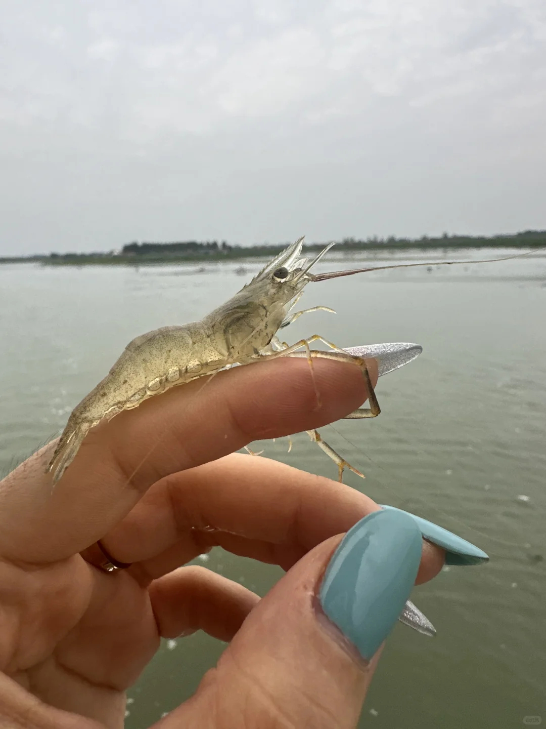 去白洋淀划船吧，风一吹，连烦恼都散了！