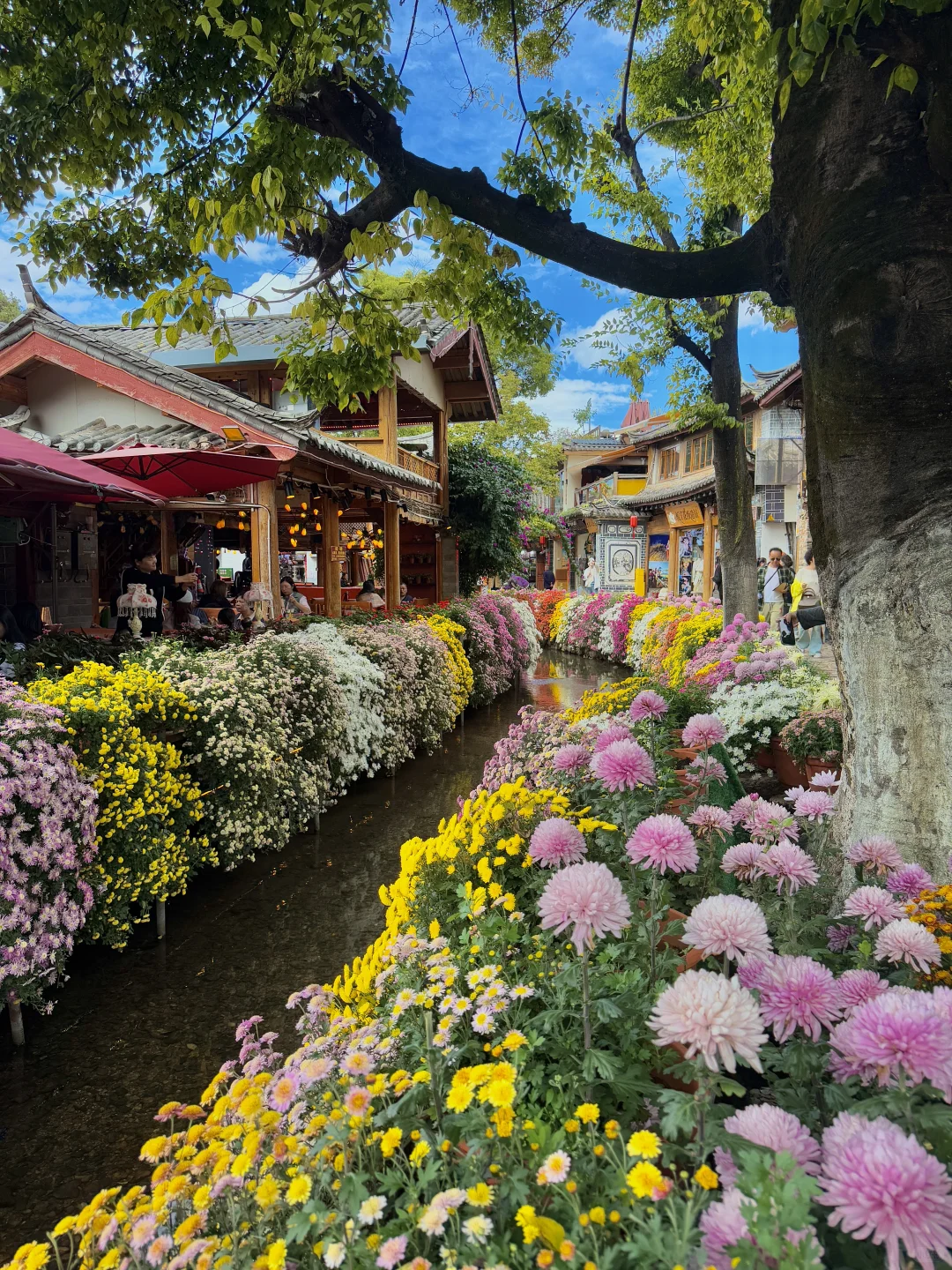 10.25实拍丽江古城⛰️简直是美到失语💐！！！
