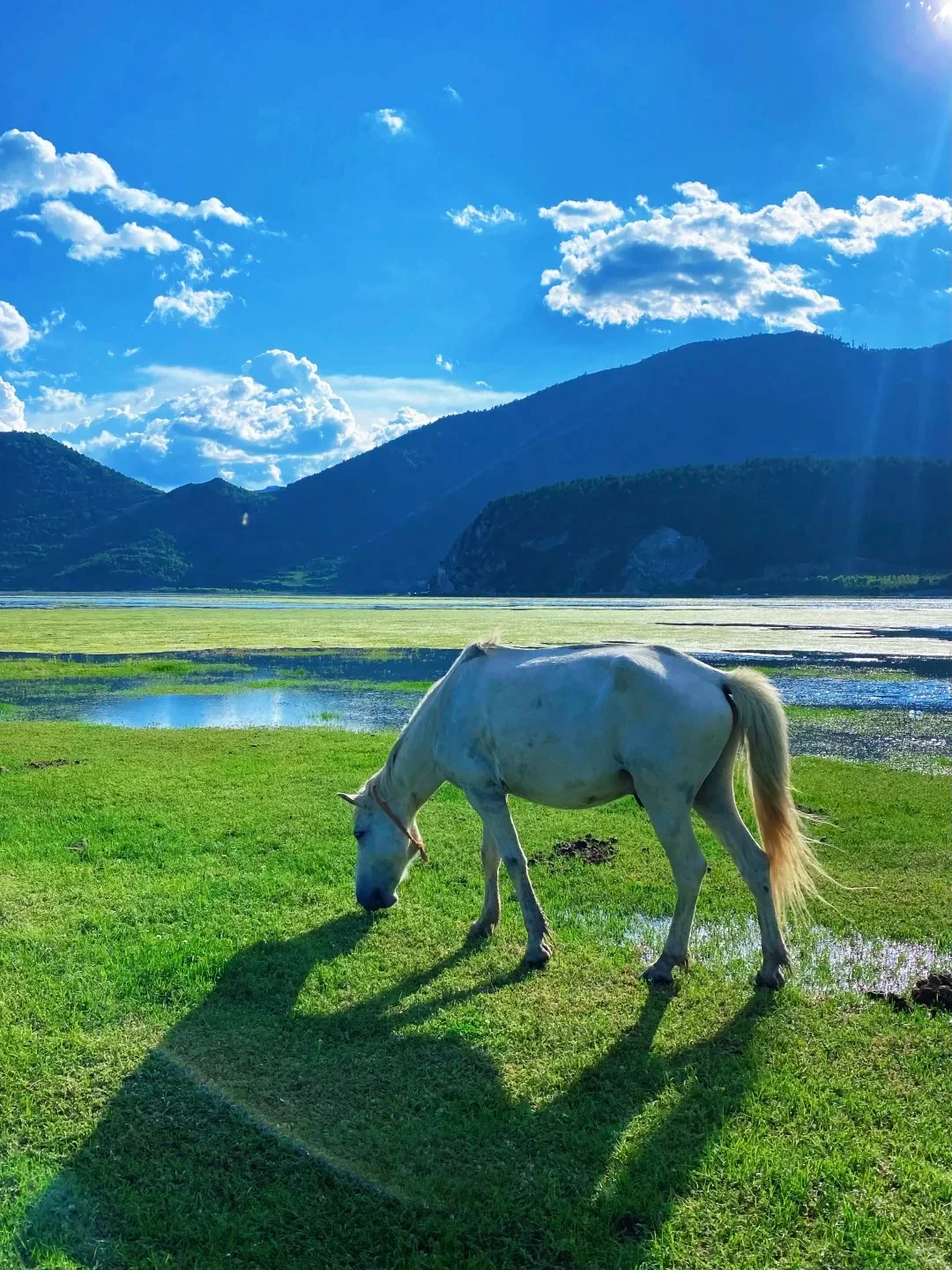 人均78就能拥抱香格里拉的美景 收下这份攻