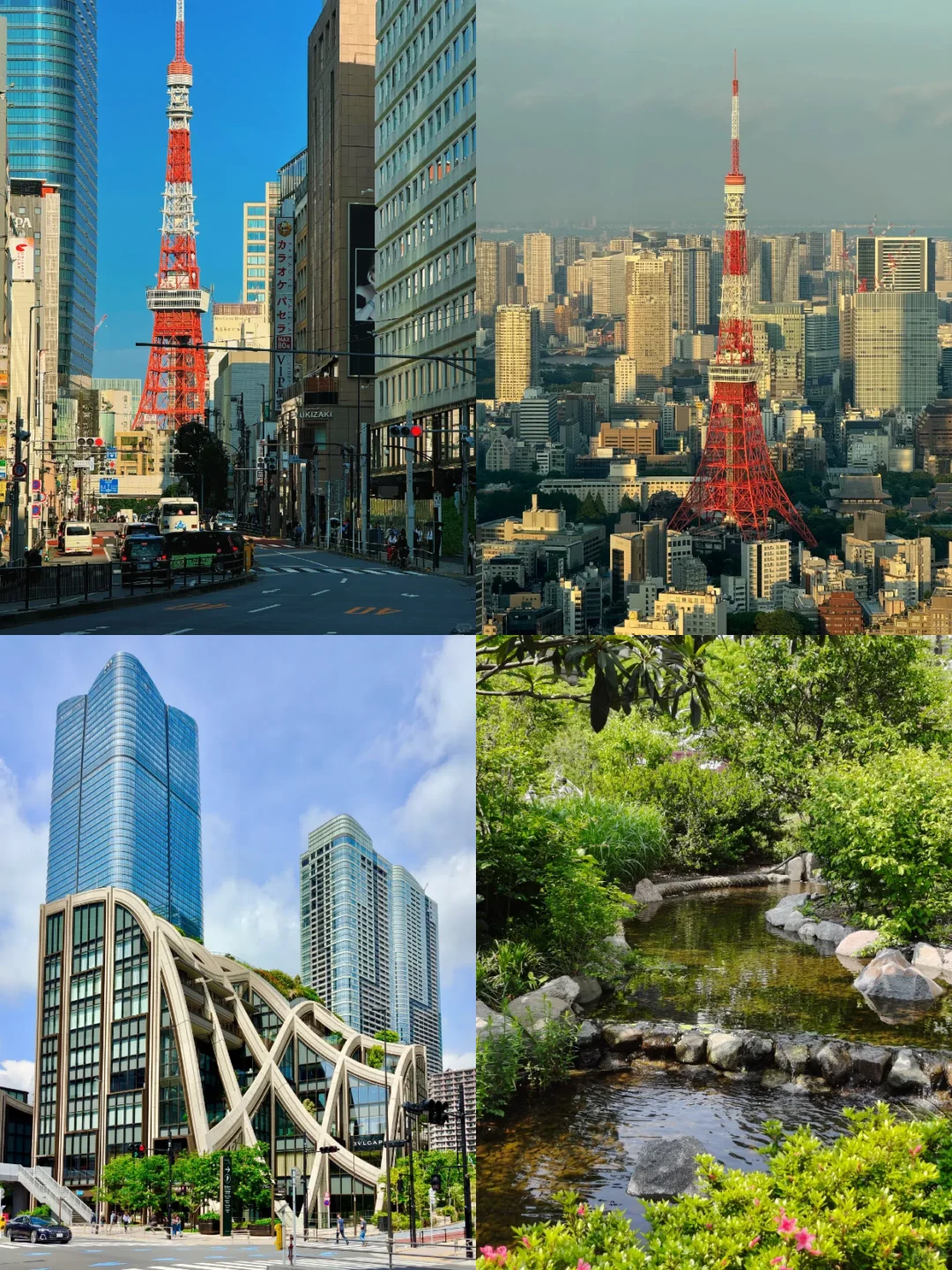 一个人玩东京也不怕！包车带你轻松玩遍东京