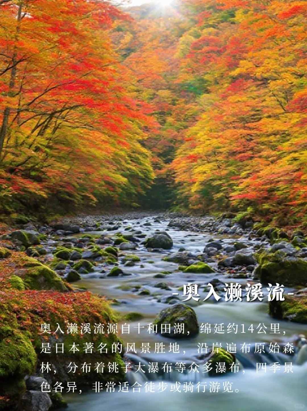 青森冬天怕踩坑？3 条路线搞定精华景点