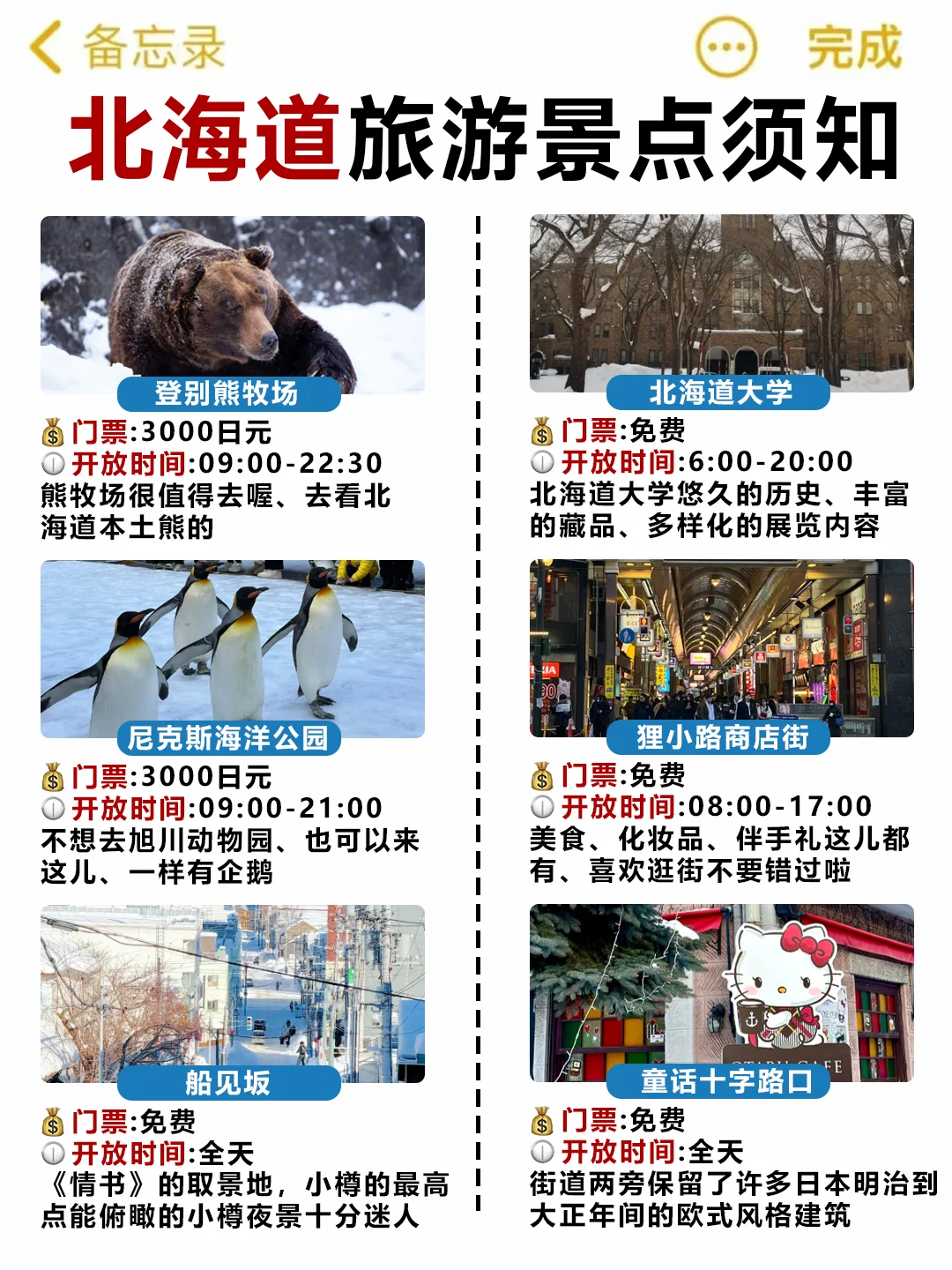 第一次去北海道玩，看这篇就够了‼️